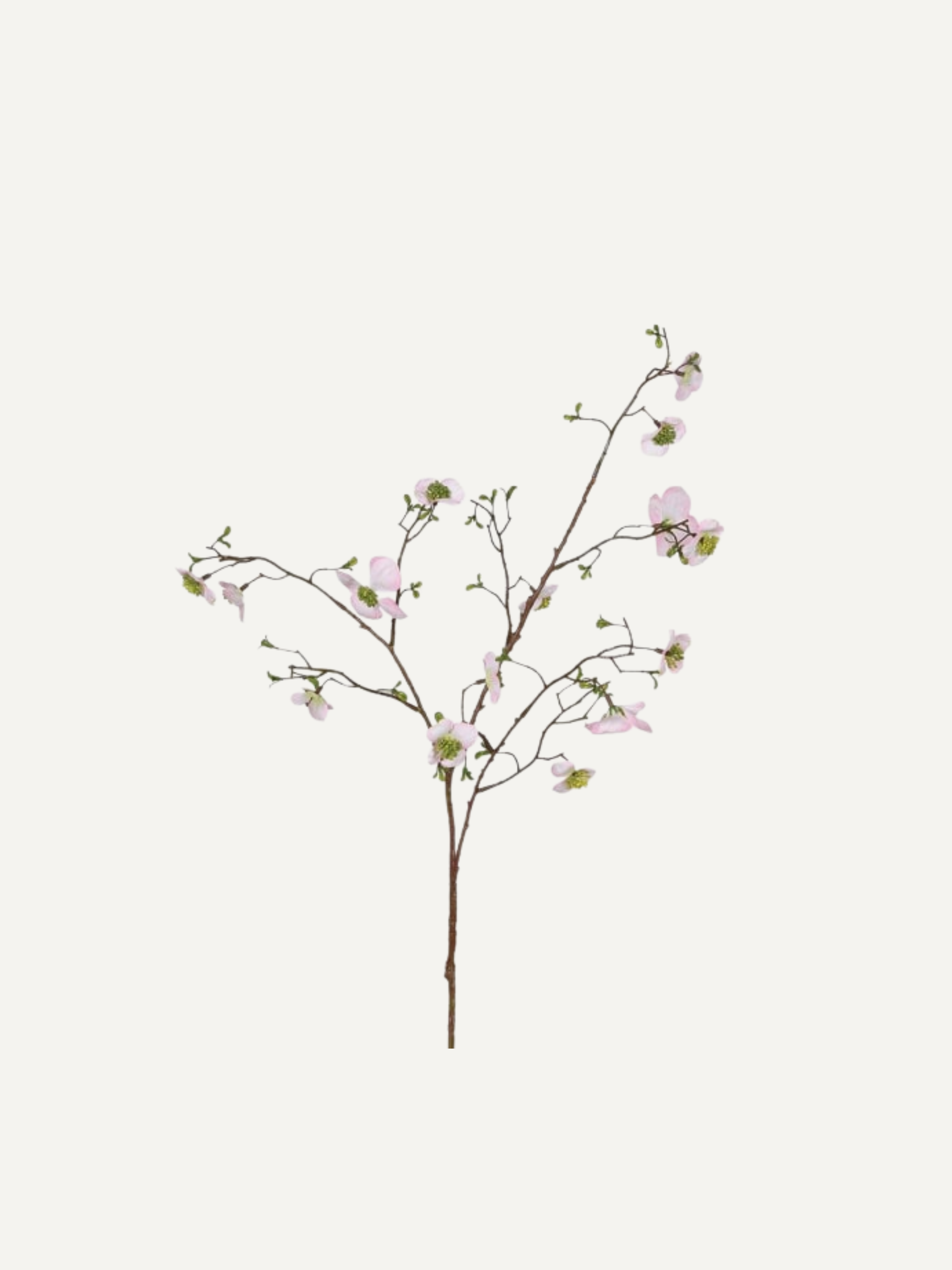 Artificial dogwood branch with pink flowers on a white background