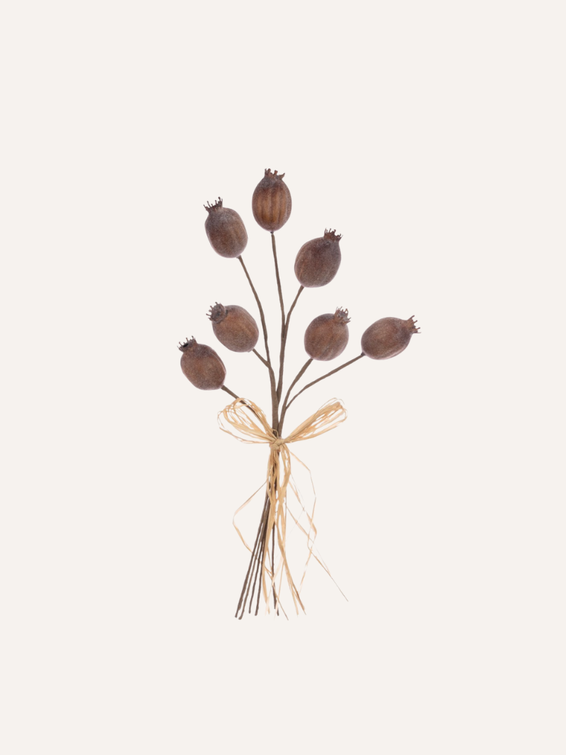 Bouquet of dried brown seed pods tied with twine on a light beige background