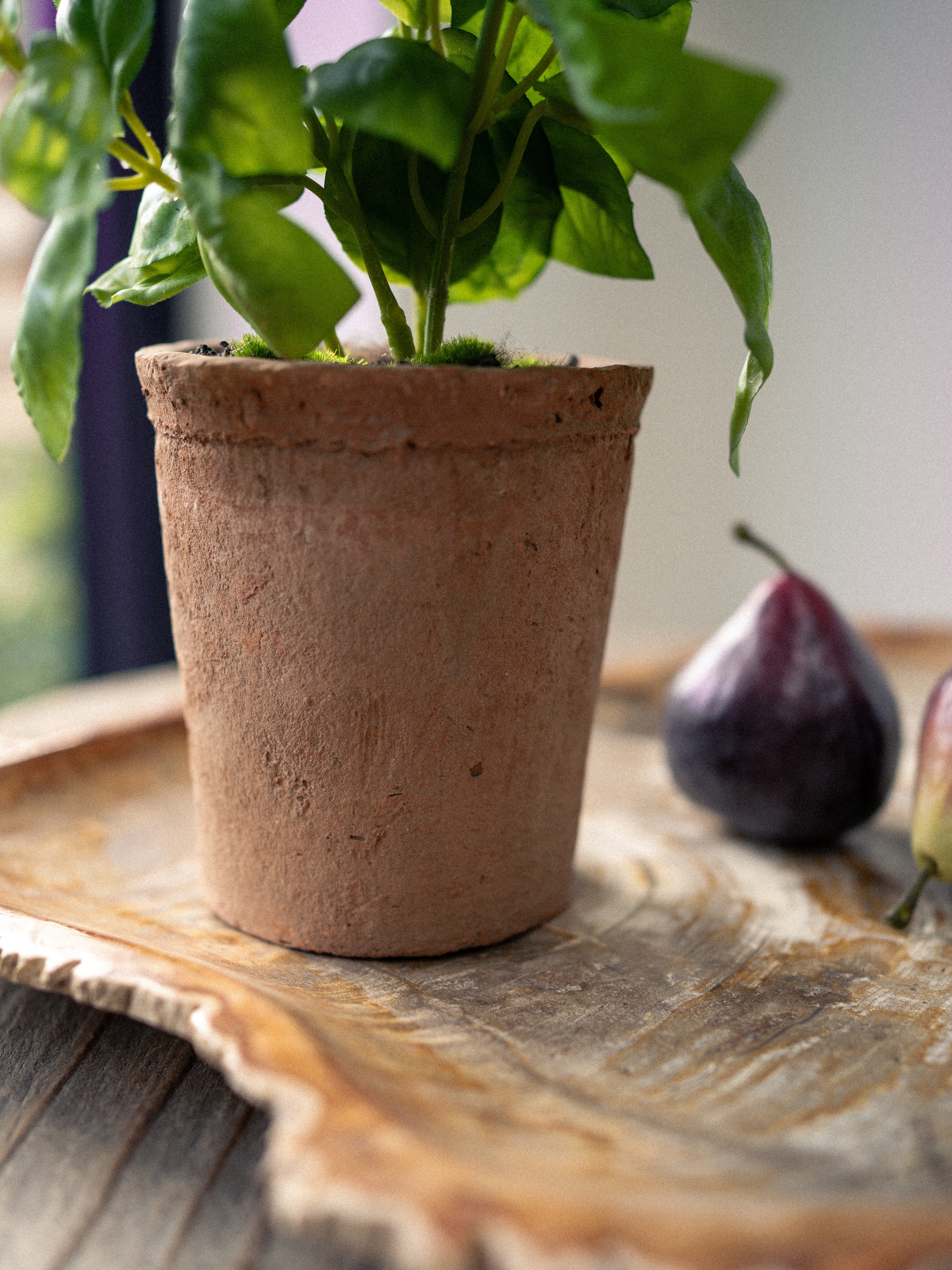 up close of Faux Potted Basil Plant in Terracotta Pot