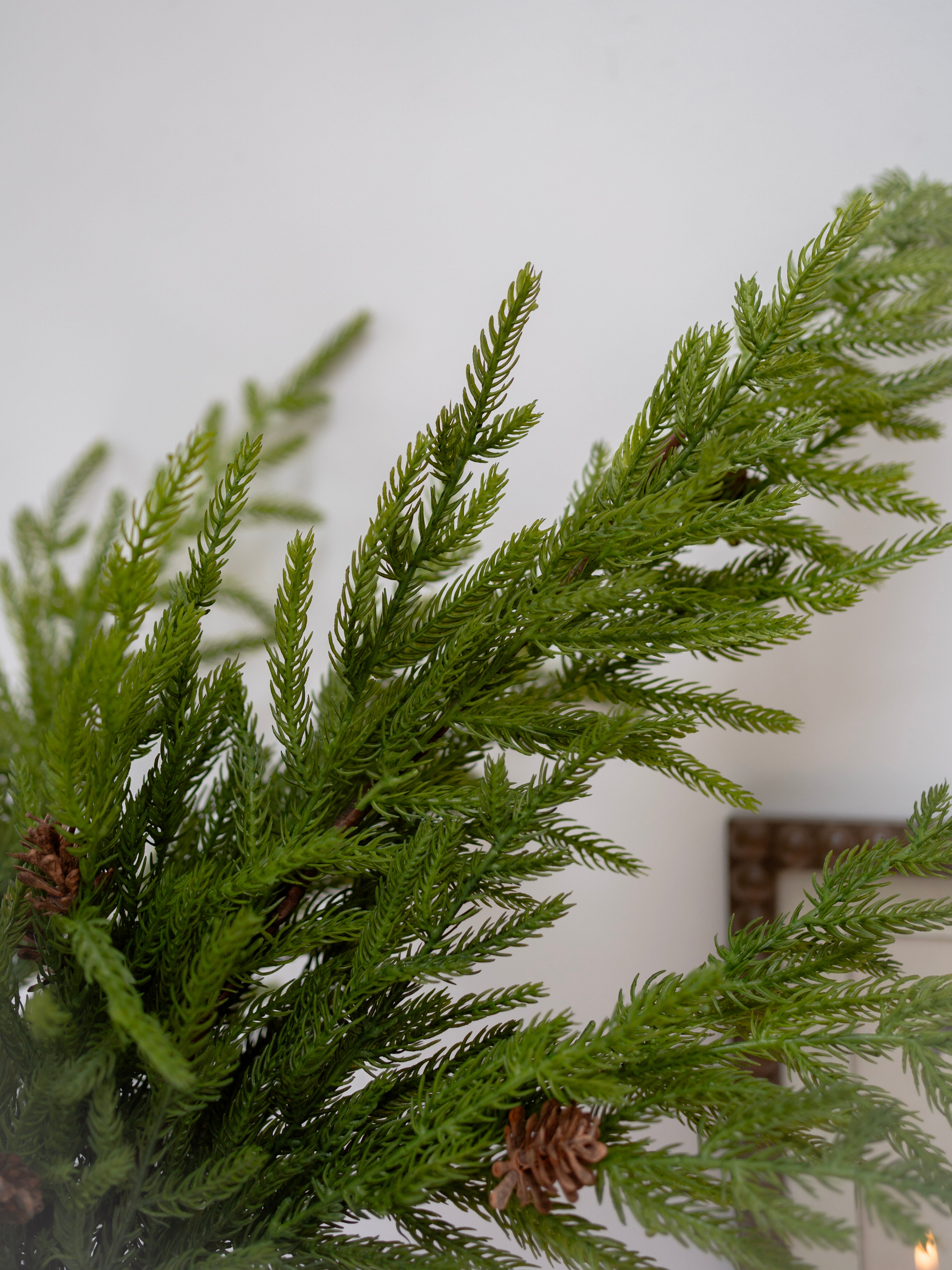 Close-up of a faux norfolk pine green plant with a blurred background