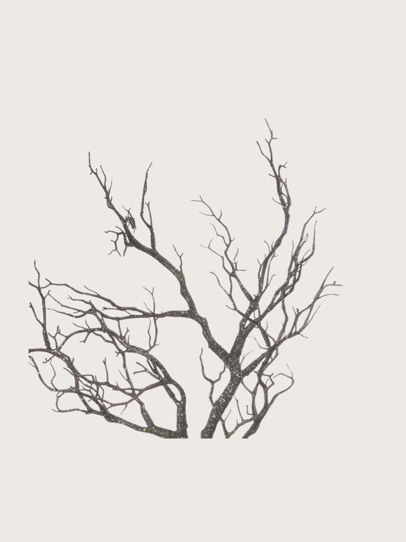 Black silhouette of bare tree branches on a light gray background