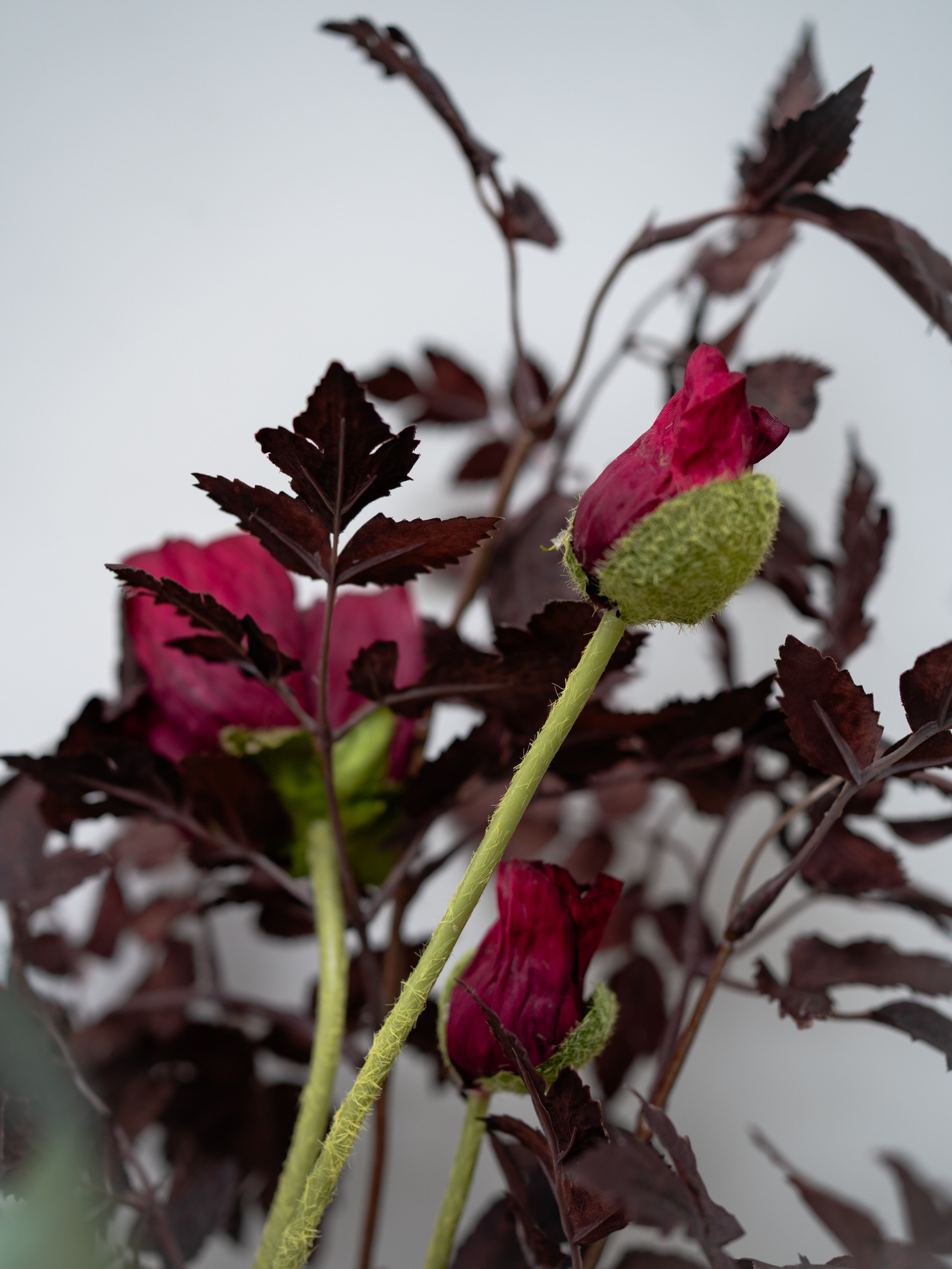Artificial red flowers with green stems against a blurred background