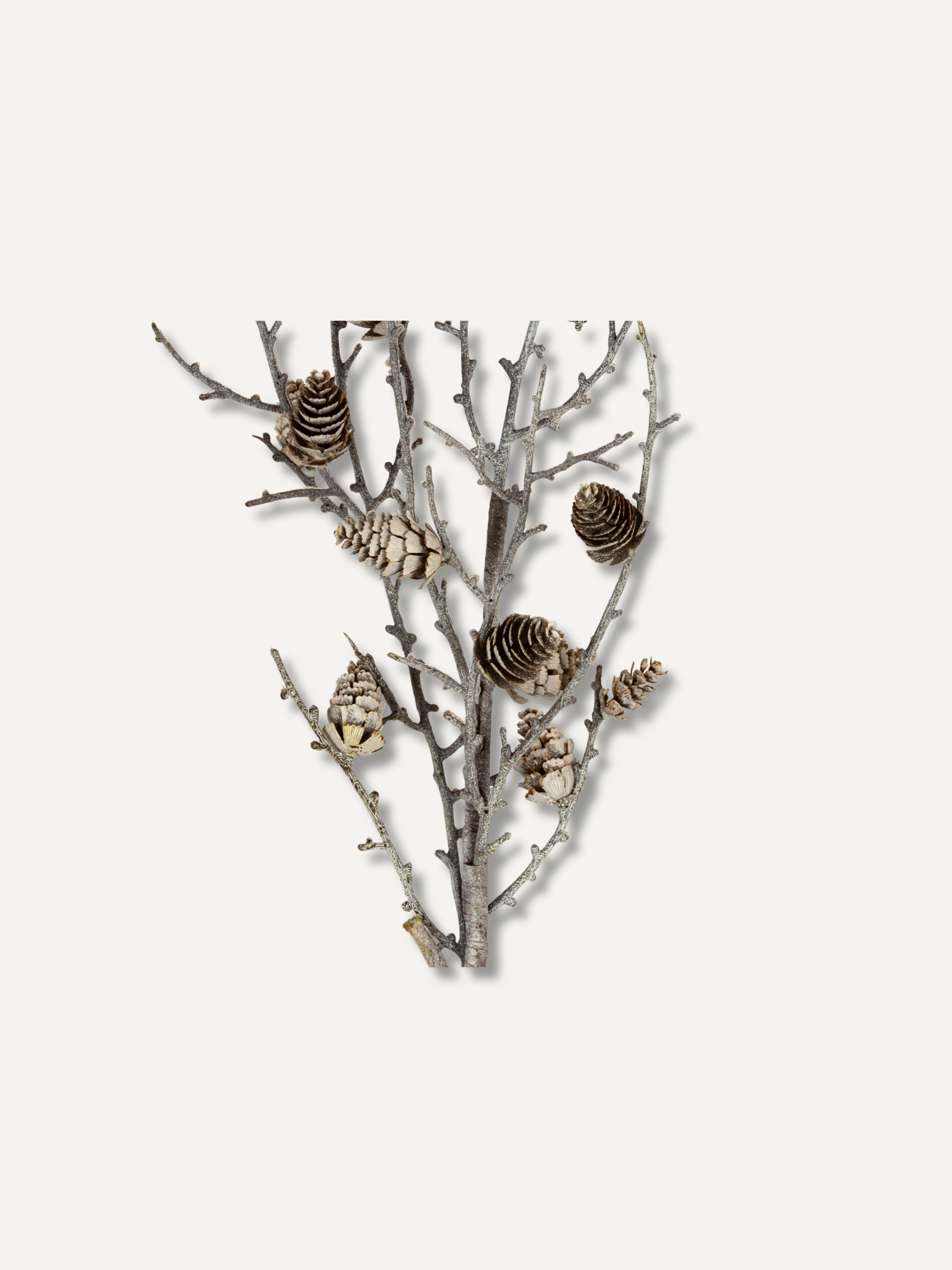A decorative branch arrangement with bare gray-brown twigs and several natural pinecones in varying sizes, shown against a plain off-white background.