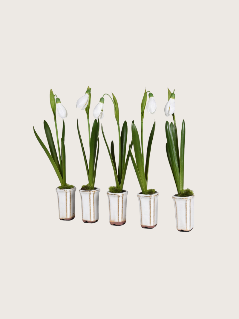 Faux Snowdrops in Ceramic Pots