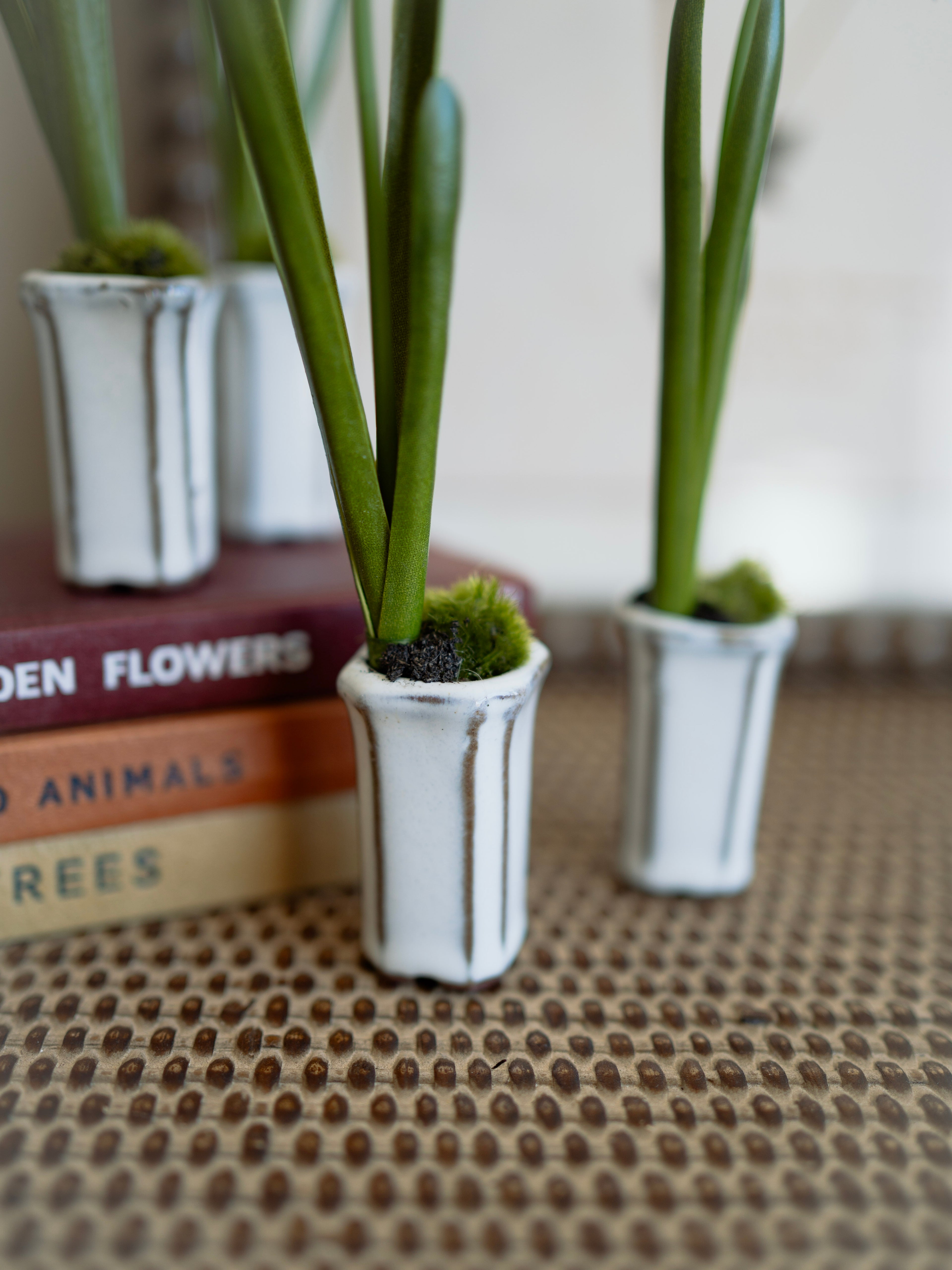 Two small potted faux snowdrop plants on a textured surface with books in the background