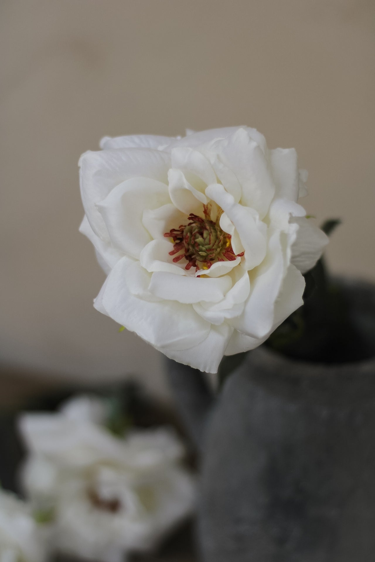Faux Soft White Charlotte Rose Stem