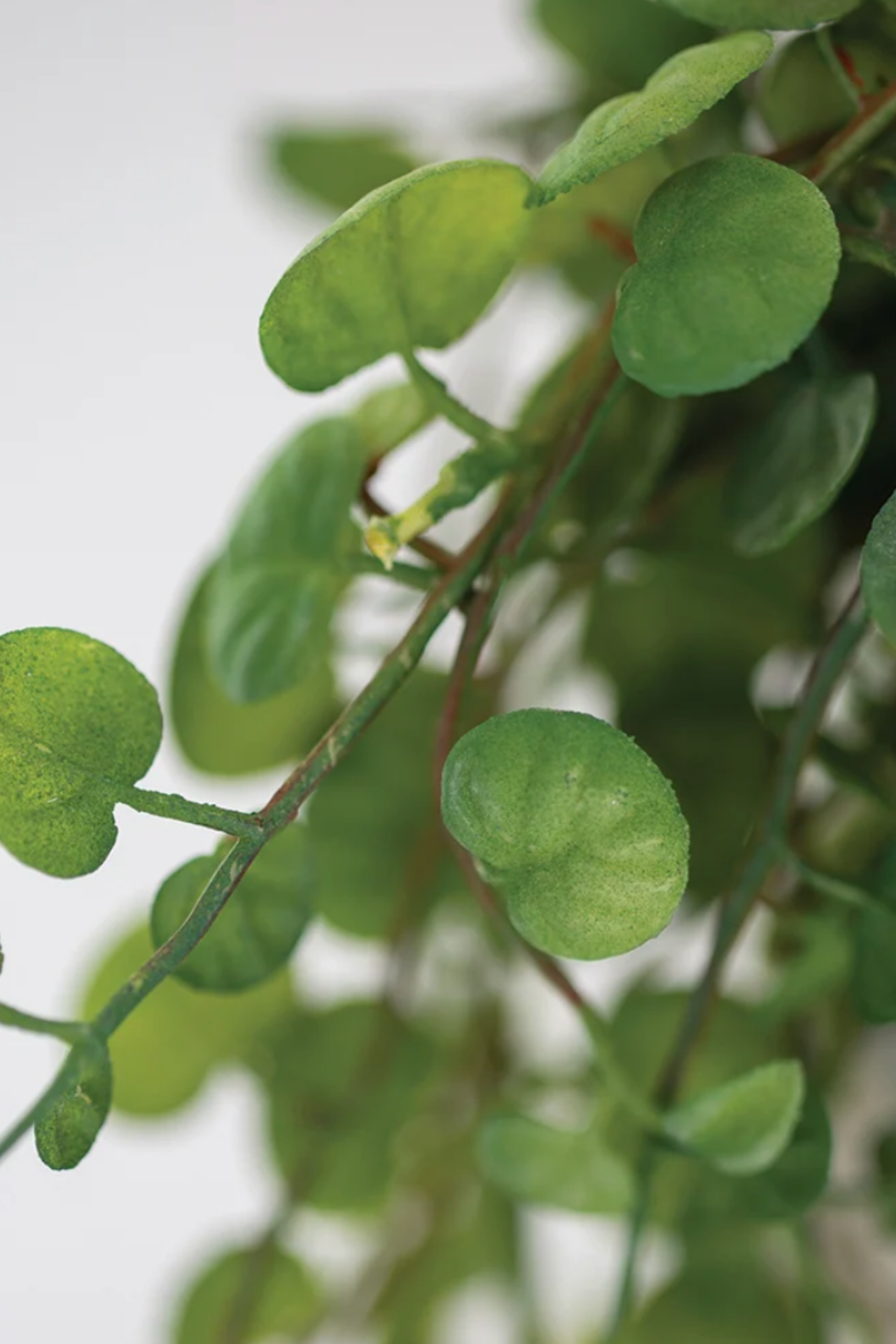 Faux String of Hearts in Pot