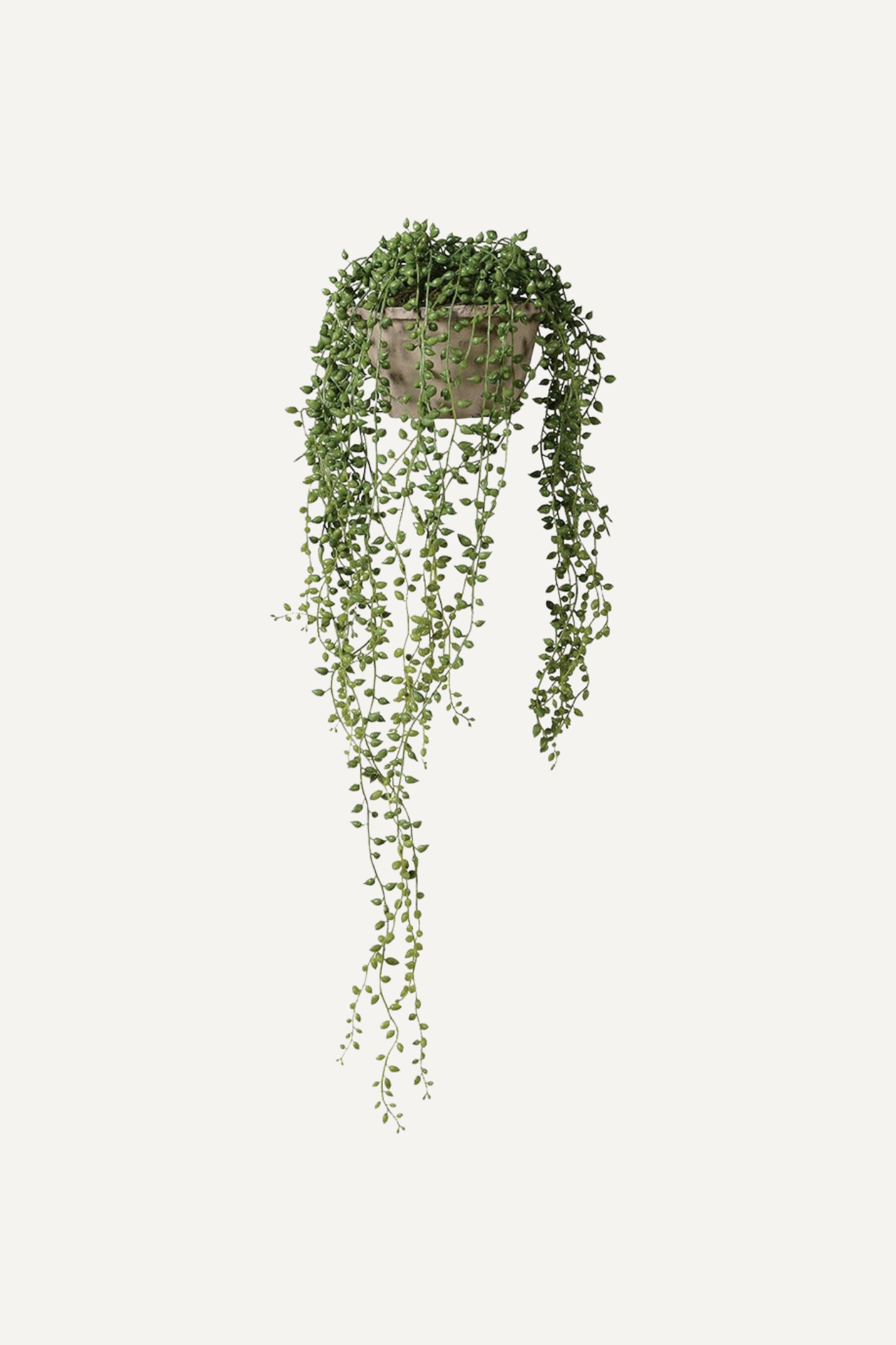 Faux String of Pearls in Rustic Cement Pot for beautiful home styling