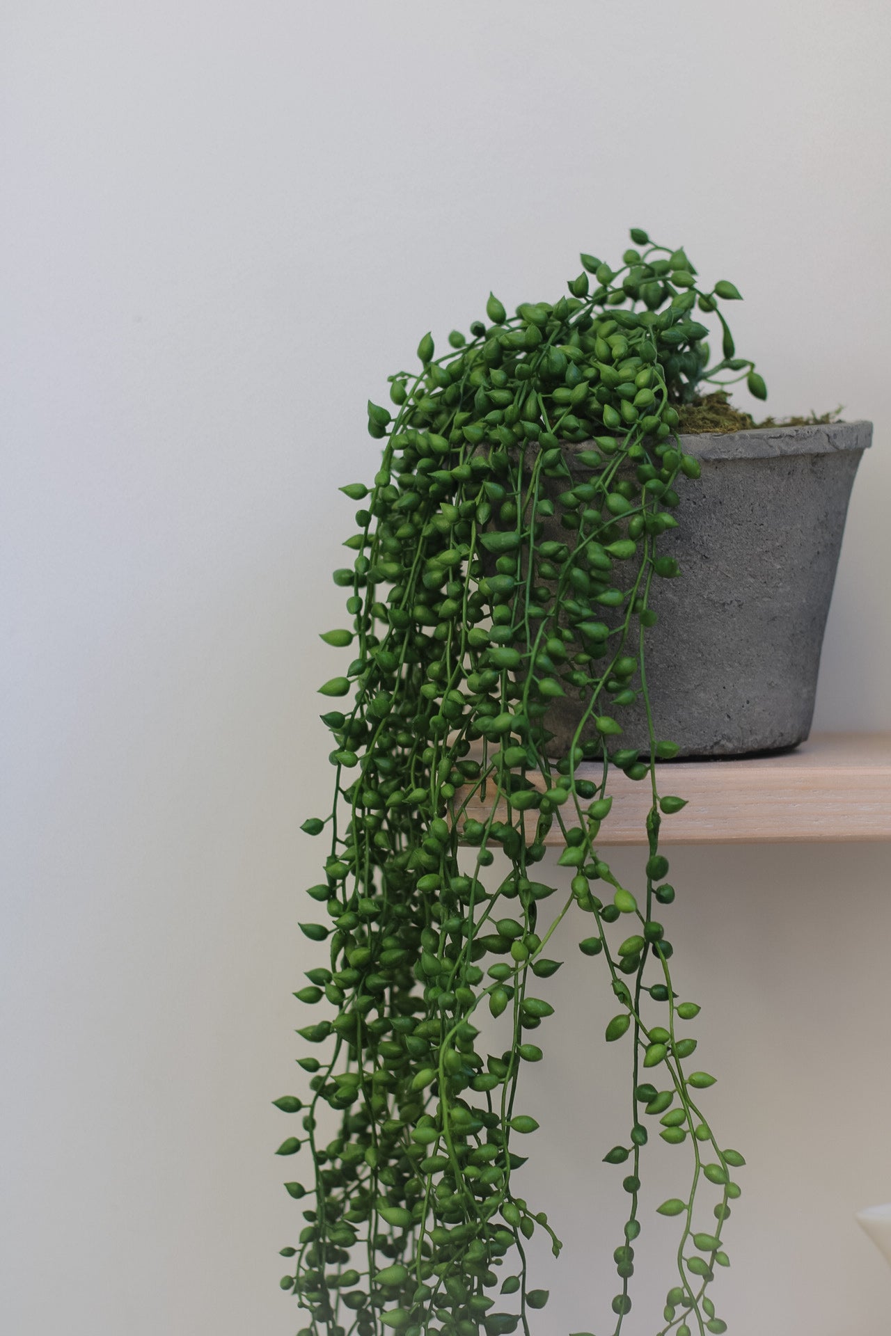 Faux String of Pearls in Rustic Cement Pot for kitchen open shelf styling