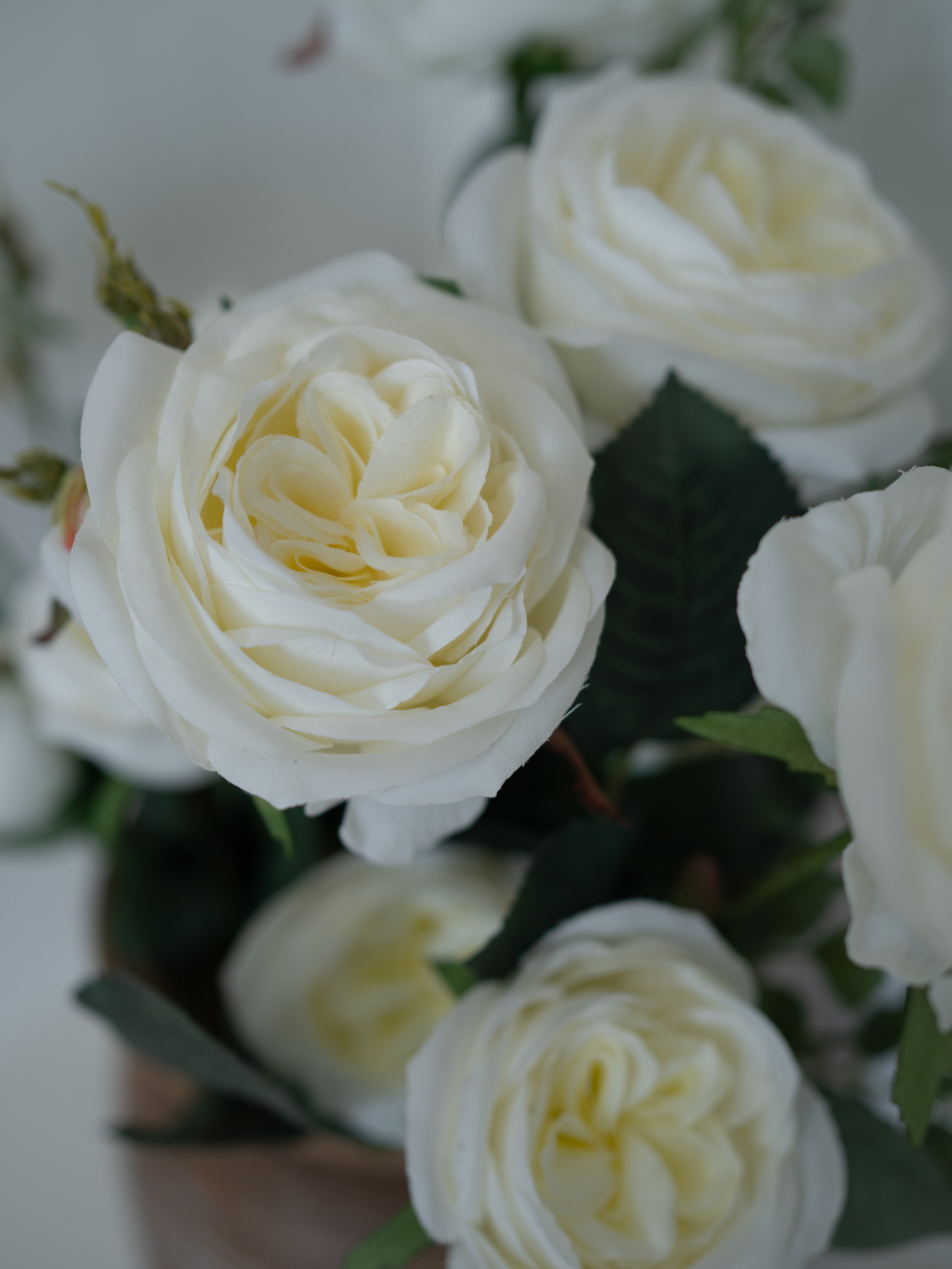 Bouquet of white roses with green leaves on a blurred background