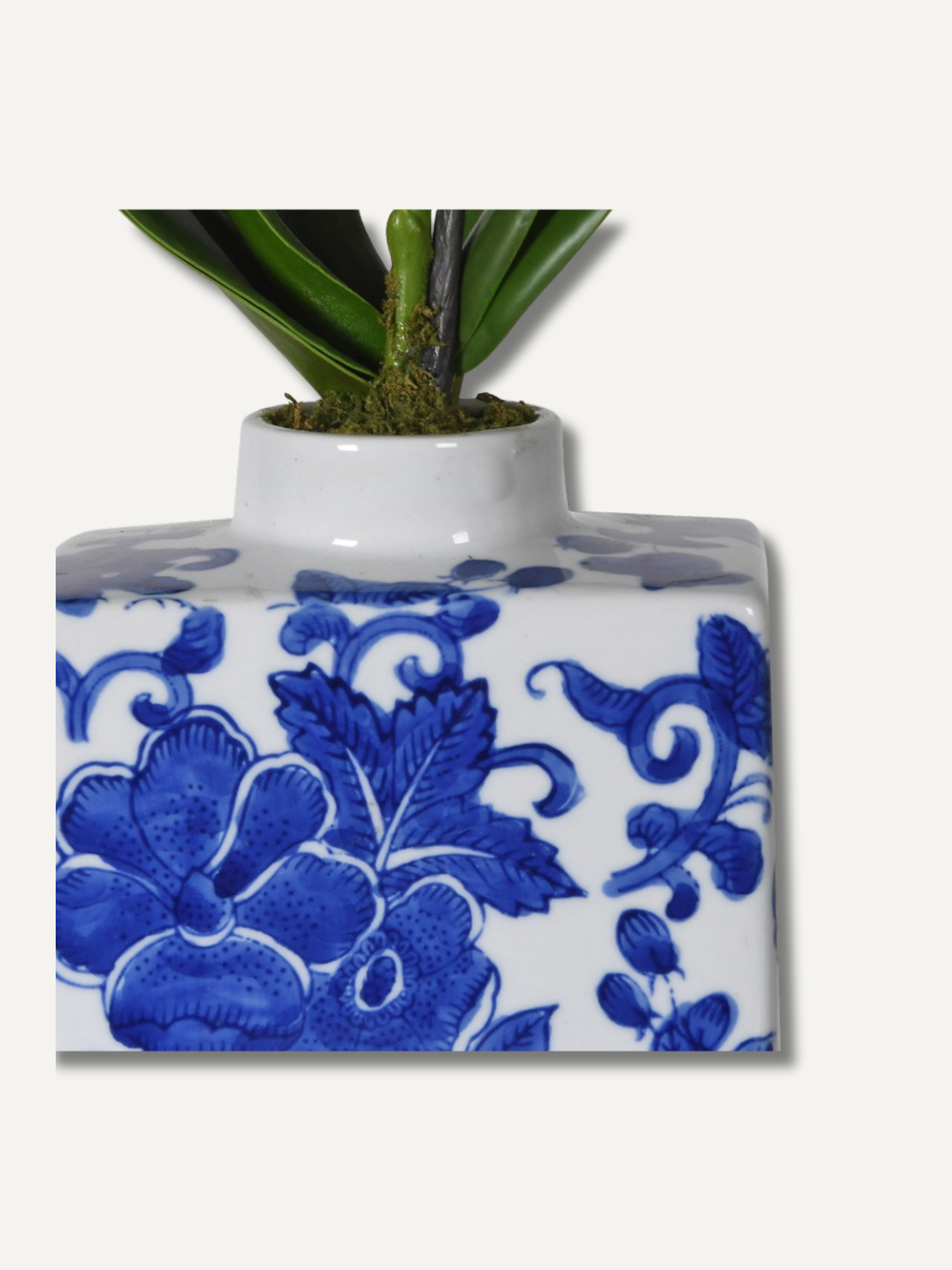White vase with blue floral patterns containing a plant on a white background