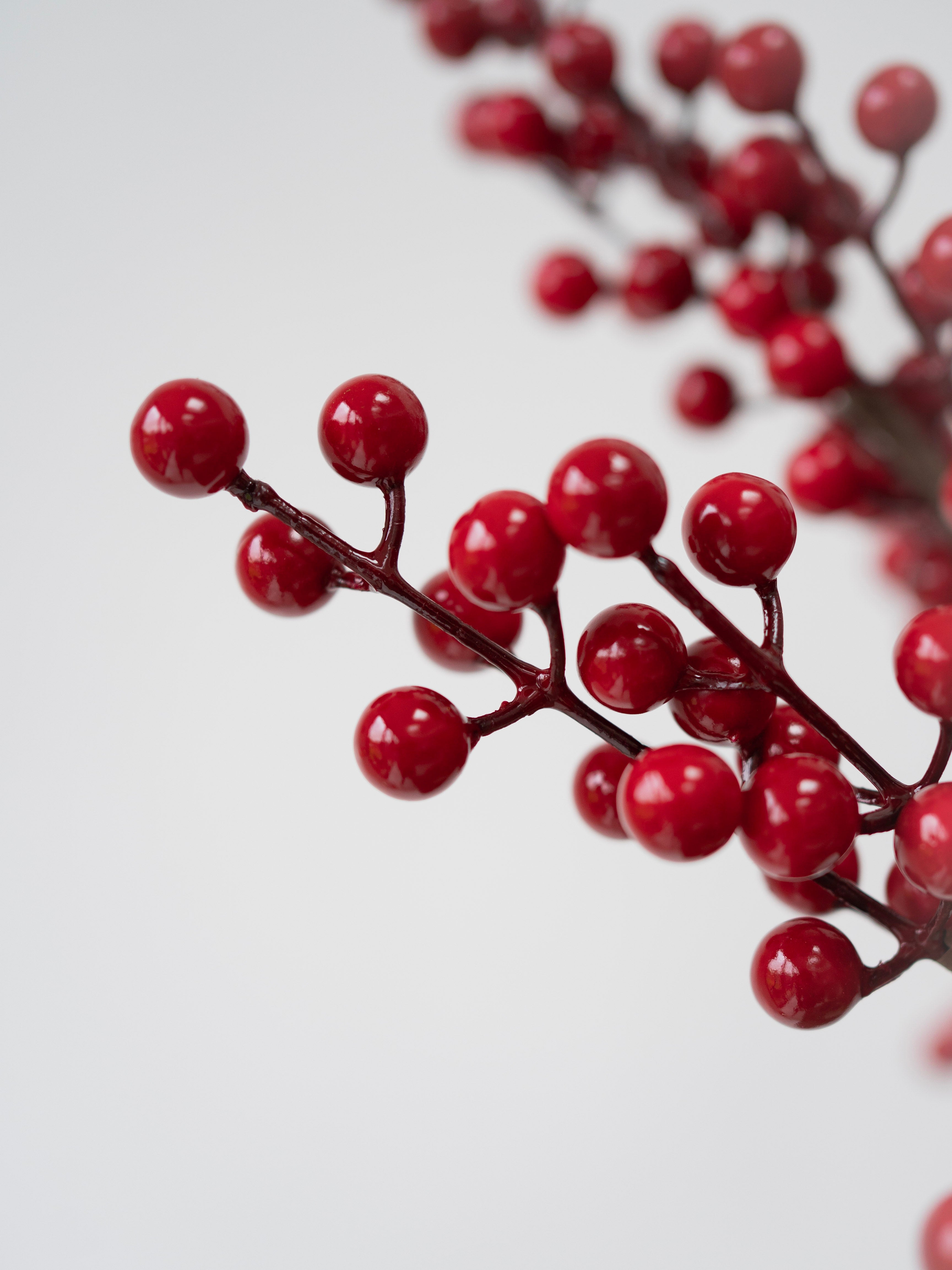 Close-up of faux red berries on a branch against a light background