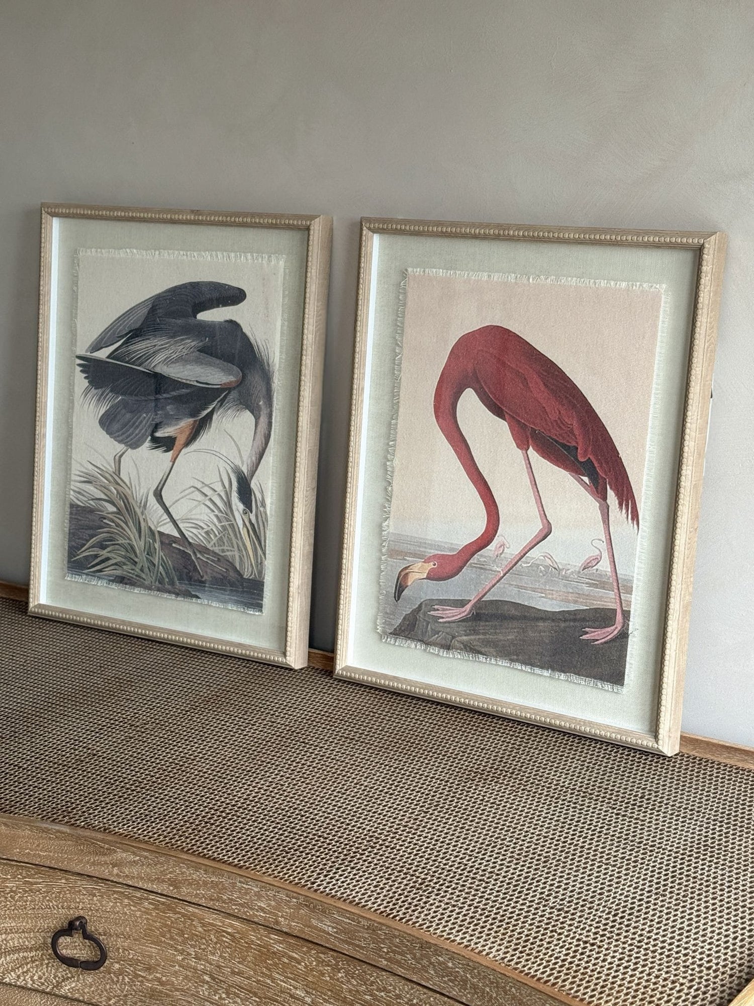 Two framed illustrations of birds on a textured surface with a neutral background
