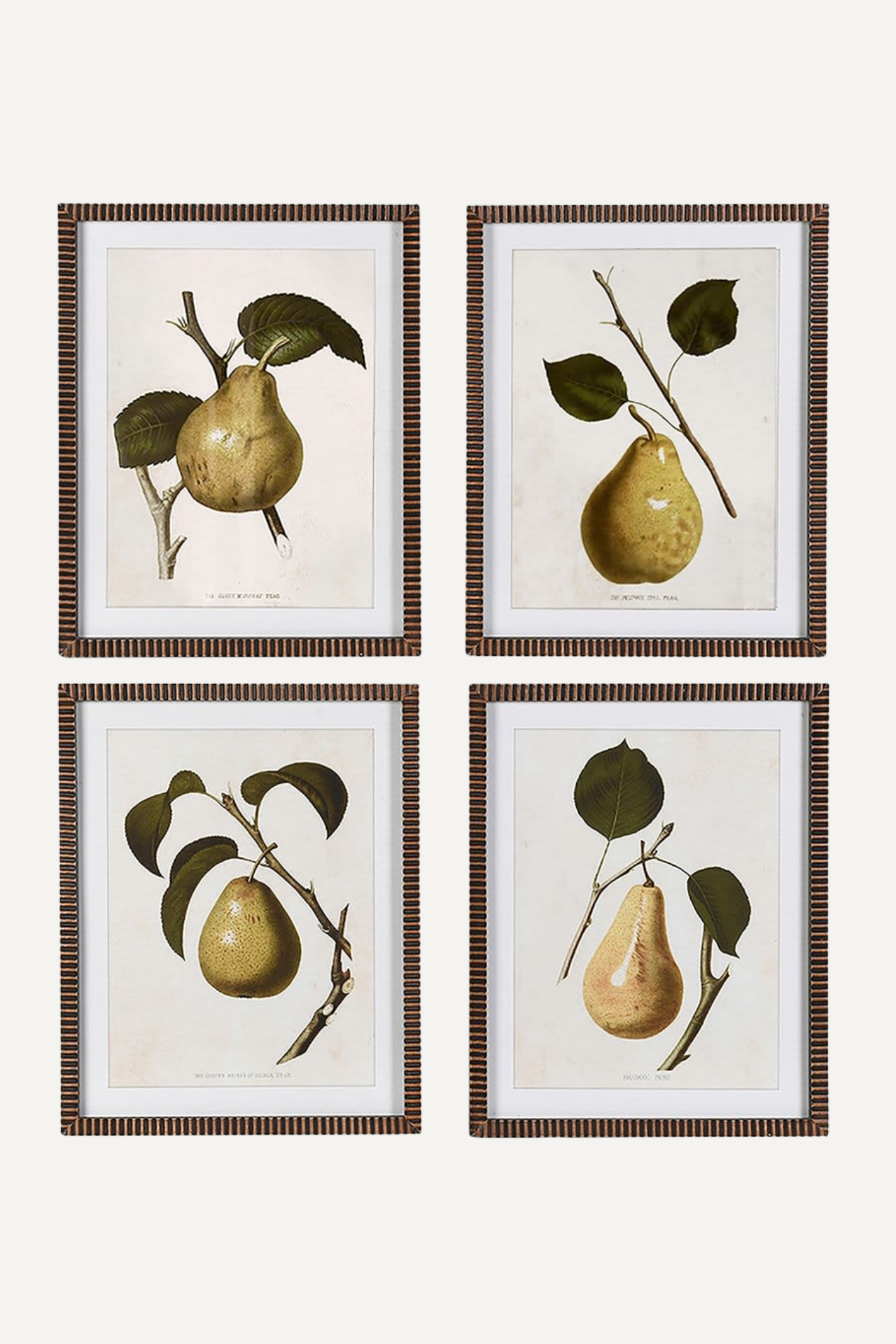 Framed Vintage Pear Pictures | Set of 4