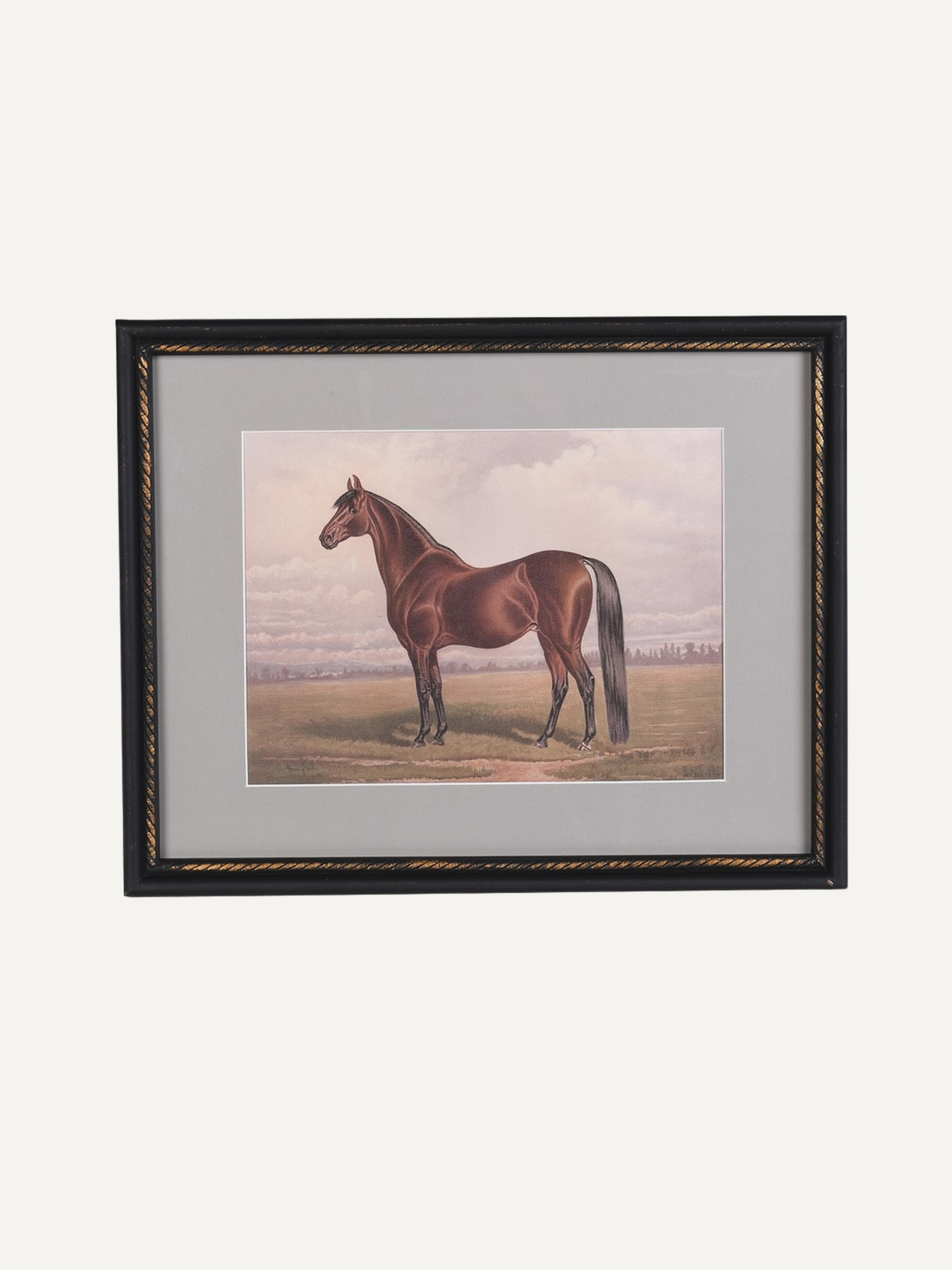 Framed Vintage Stallion Horse Wall Art