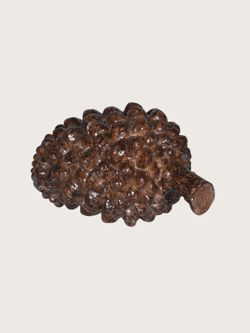 Decorative brown pine cone on a beige background