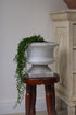 Decorative stone urn with trailing greenery on a wooden stool against a white wall.