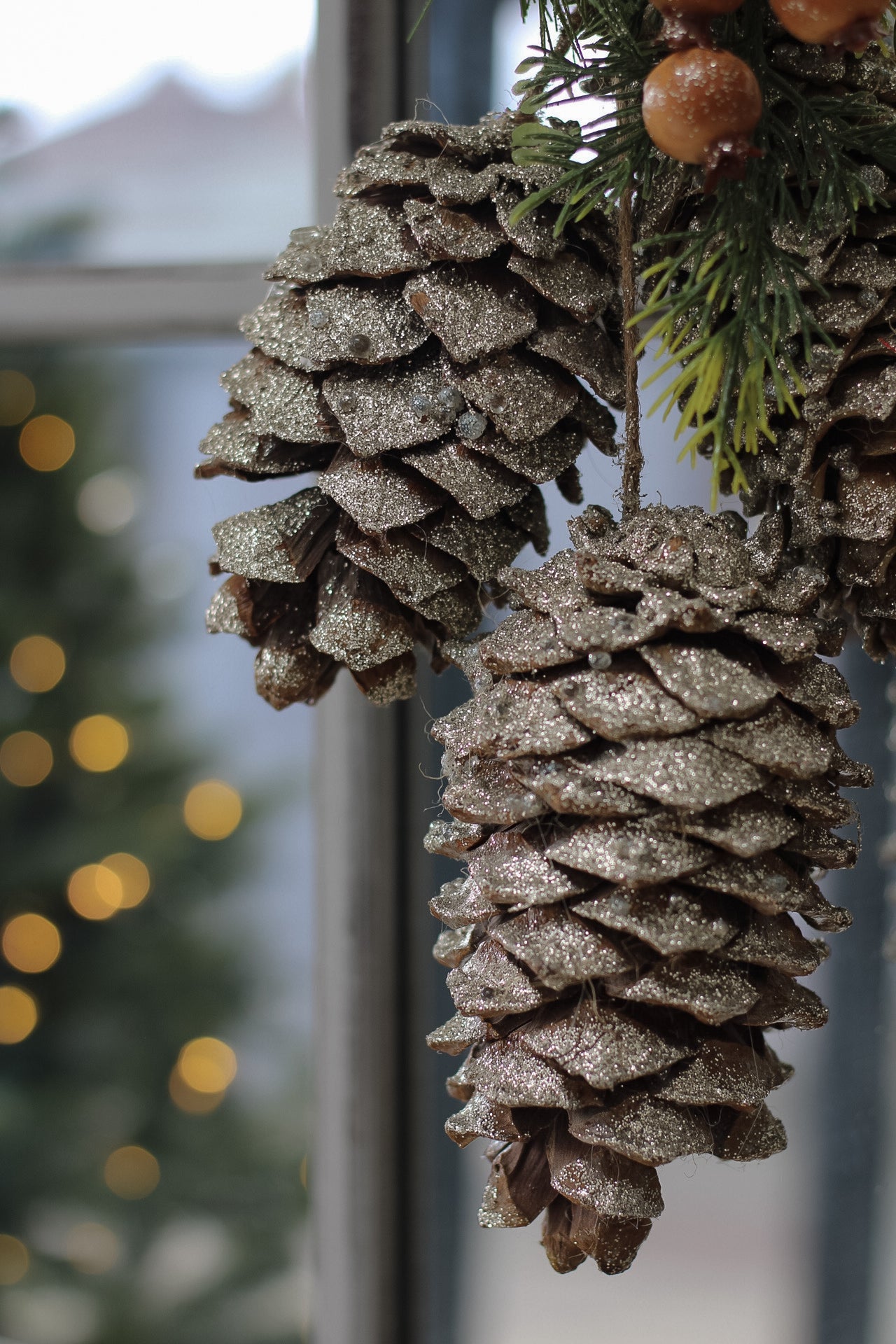 Up close of pine cones