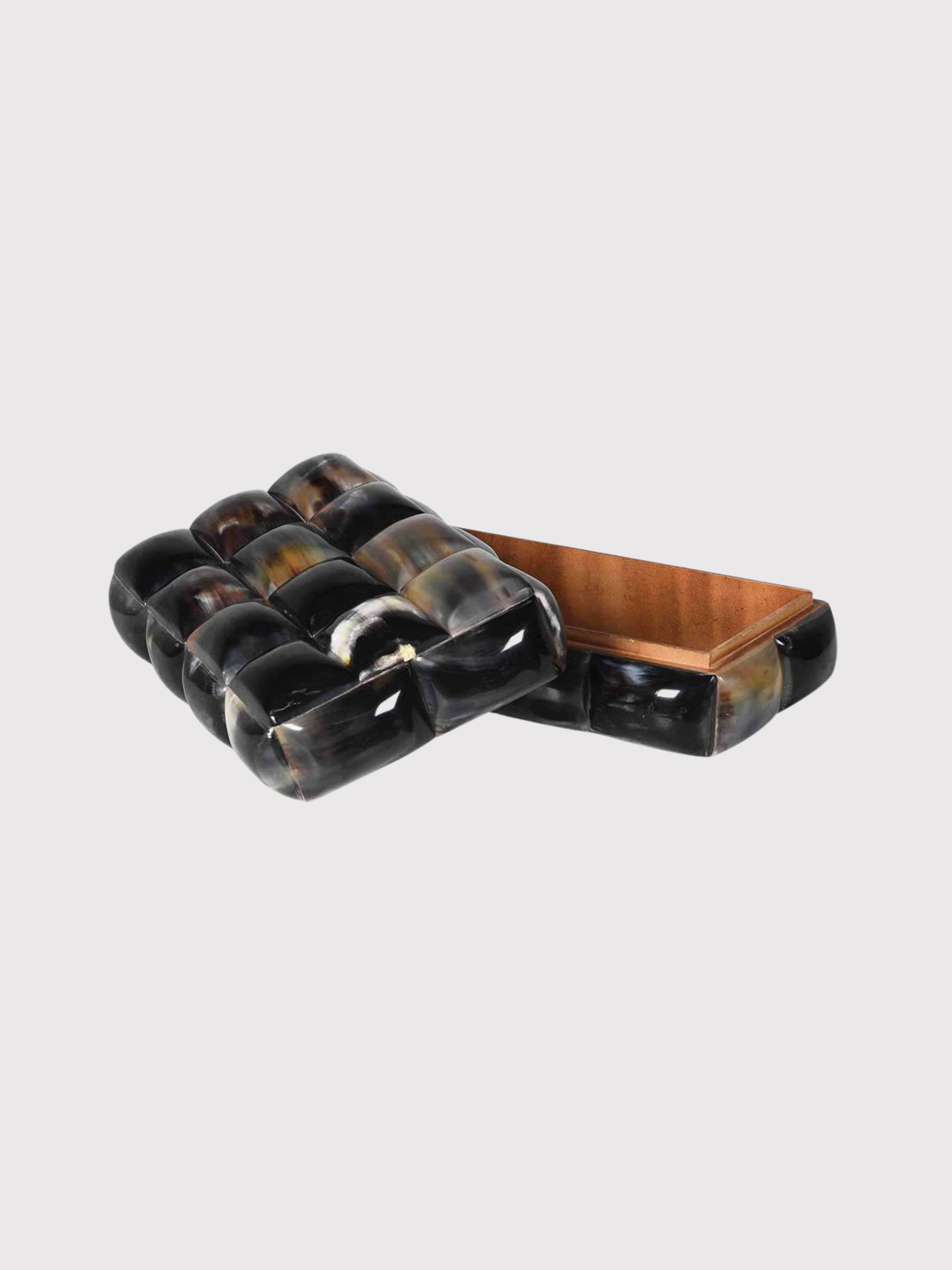 Horn Bubble Storage Box