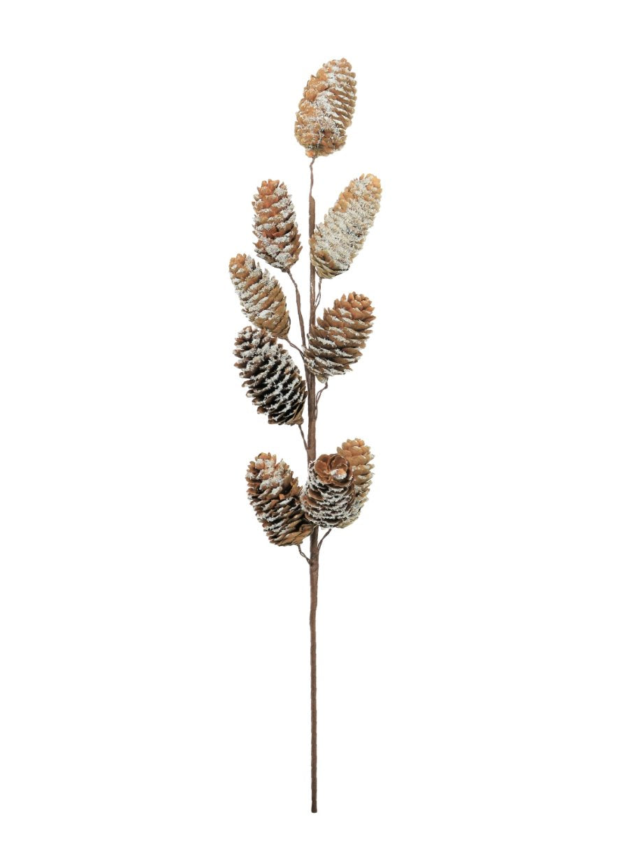 Snow Dusted Pine Cone Spray