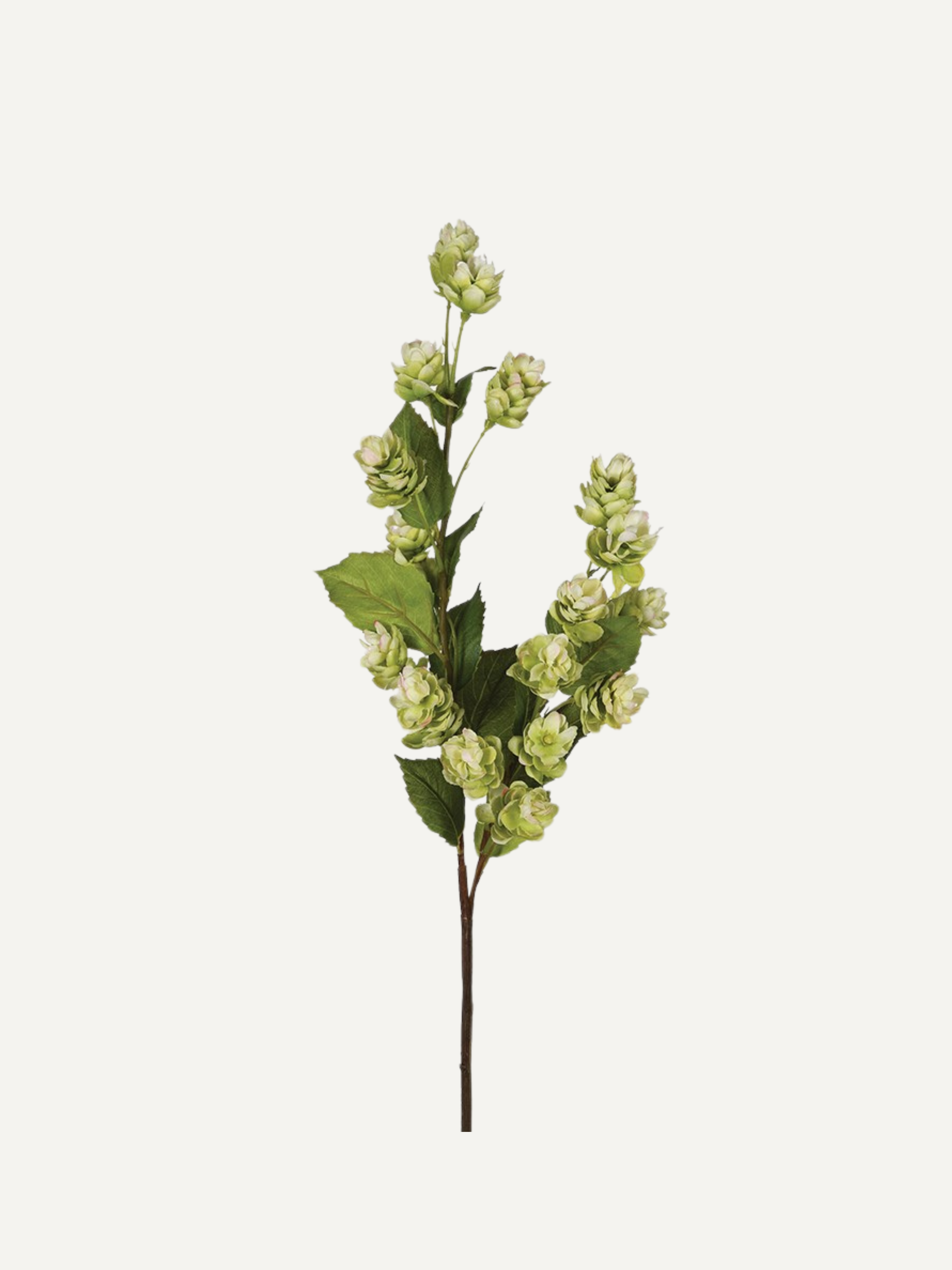 Luxury Faux Green Hops Spray