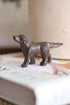 Bronze dog figurine on a book with a blurred background