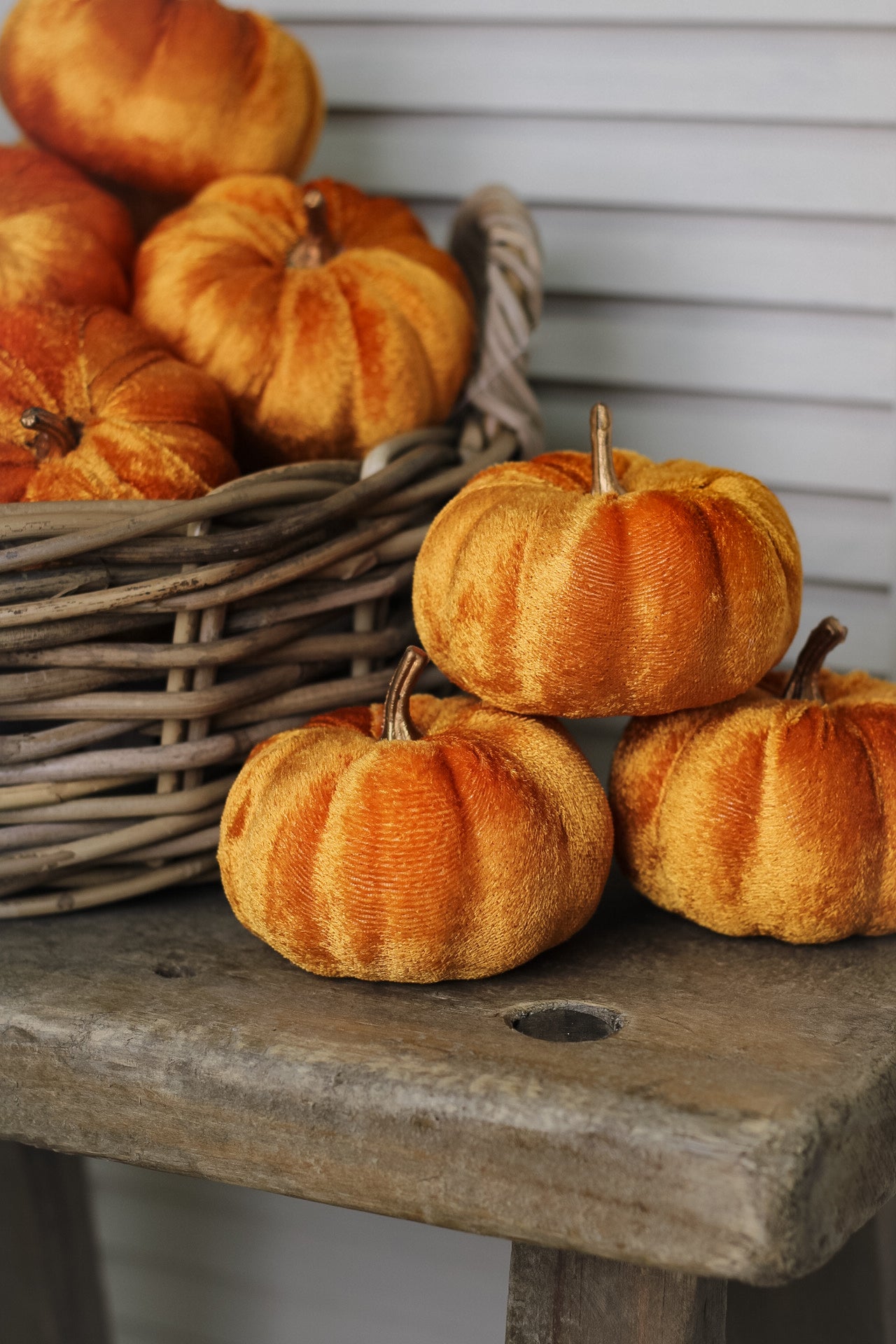 Mini Rust Orange Pumpkin