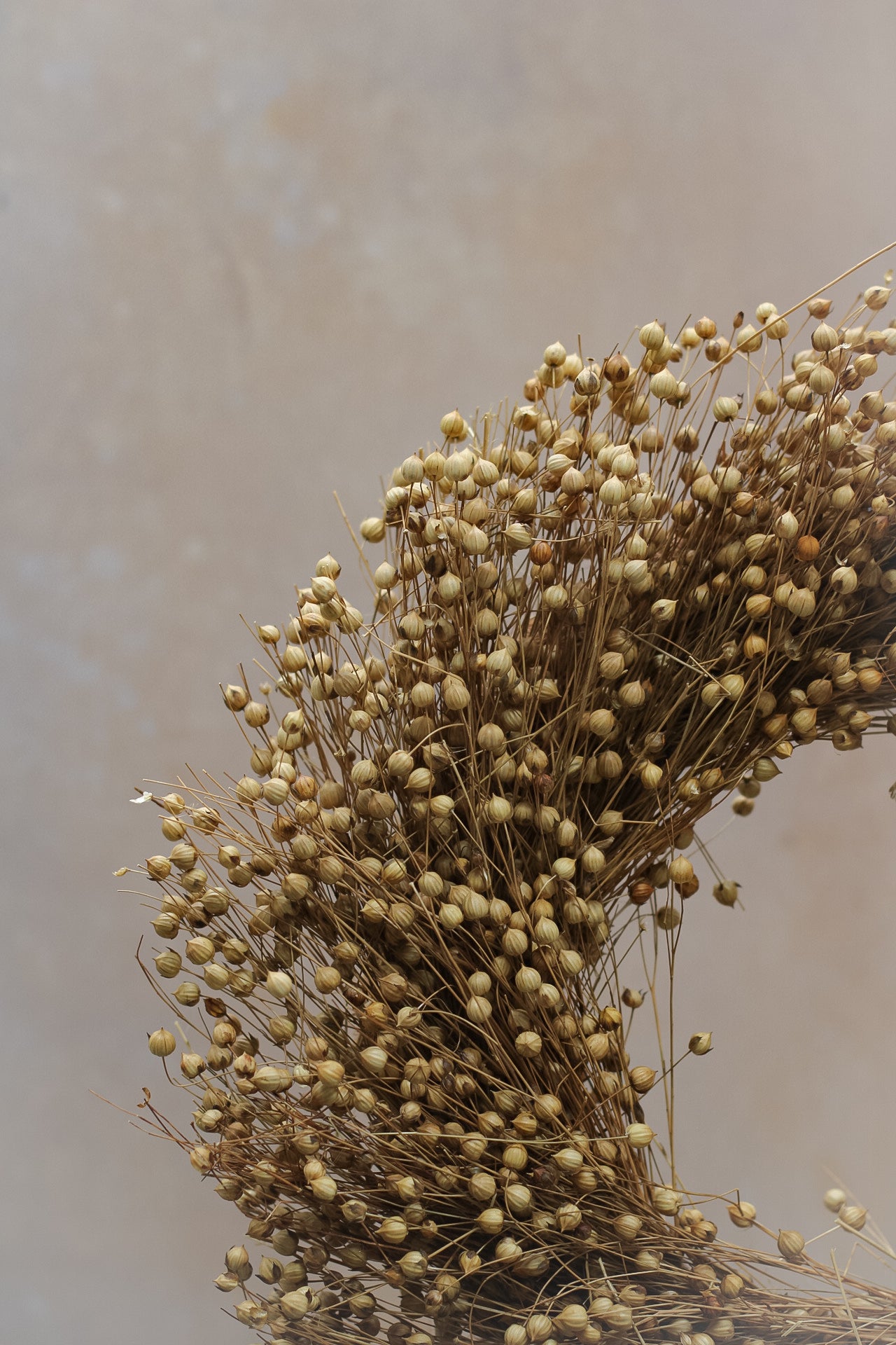Natural Dried Flax Wreath 010