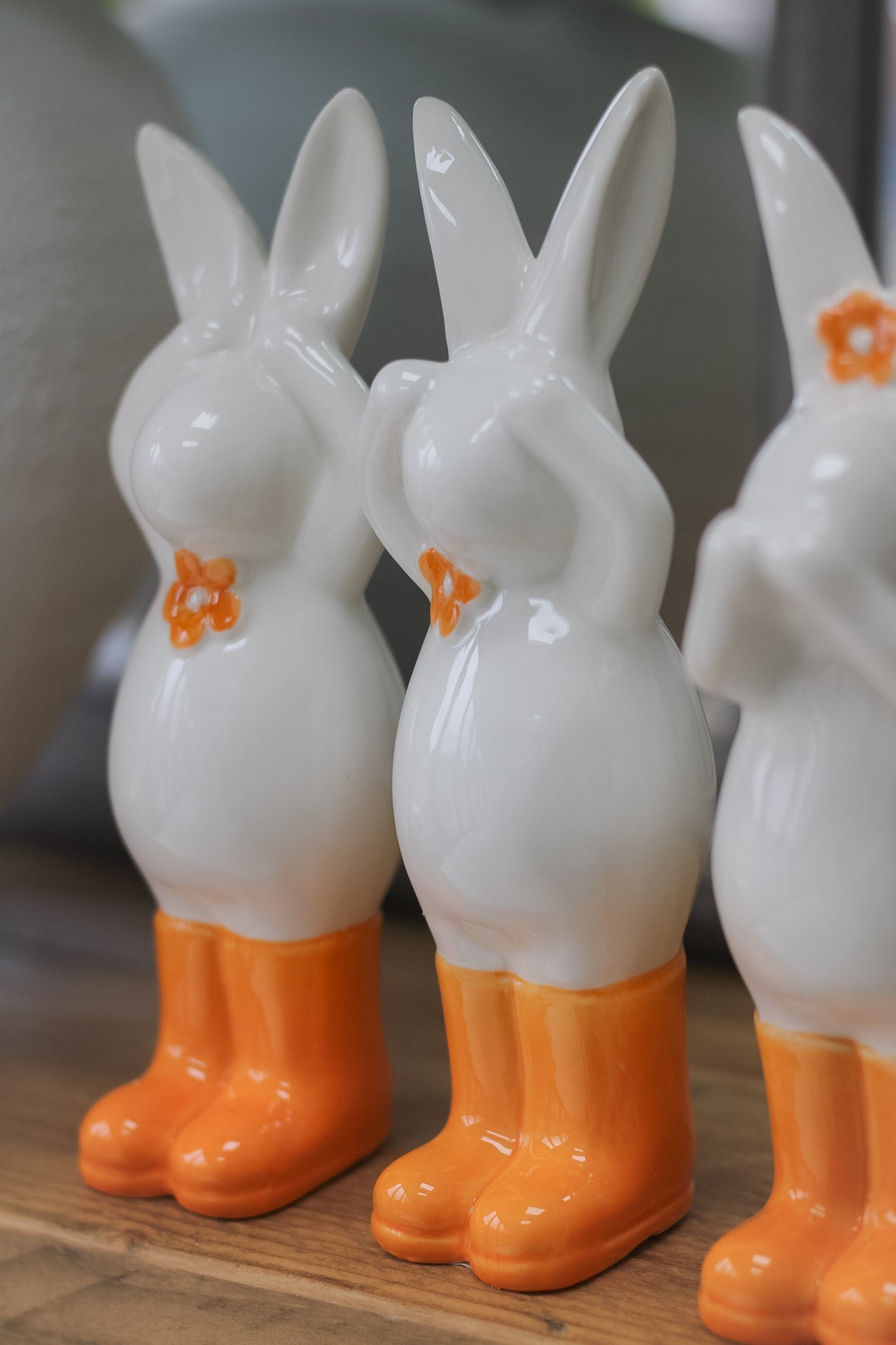 close up of bunnies doing different actions while wearing orange boots