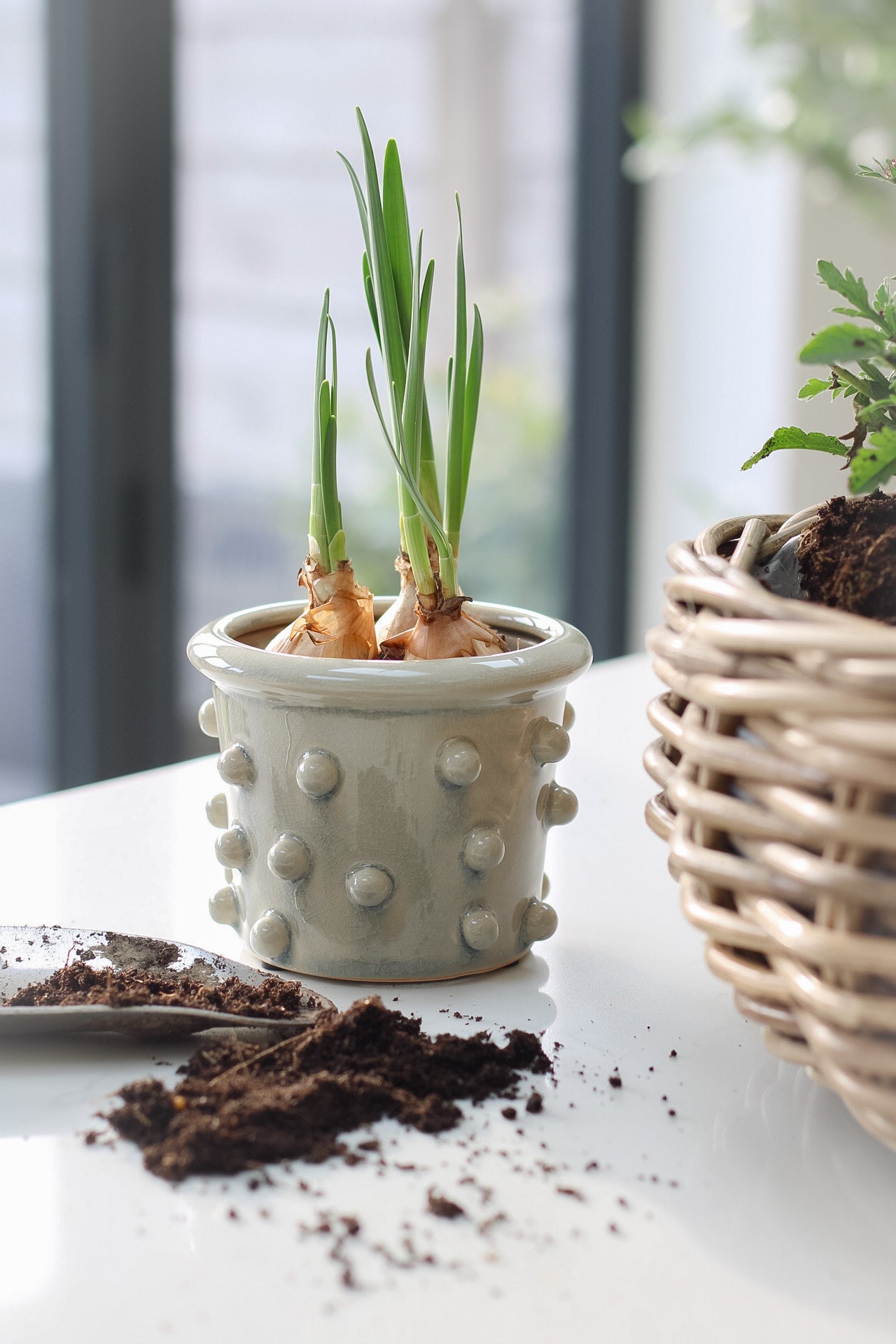 Pale Grey Bobble Planter