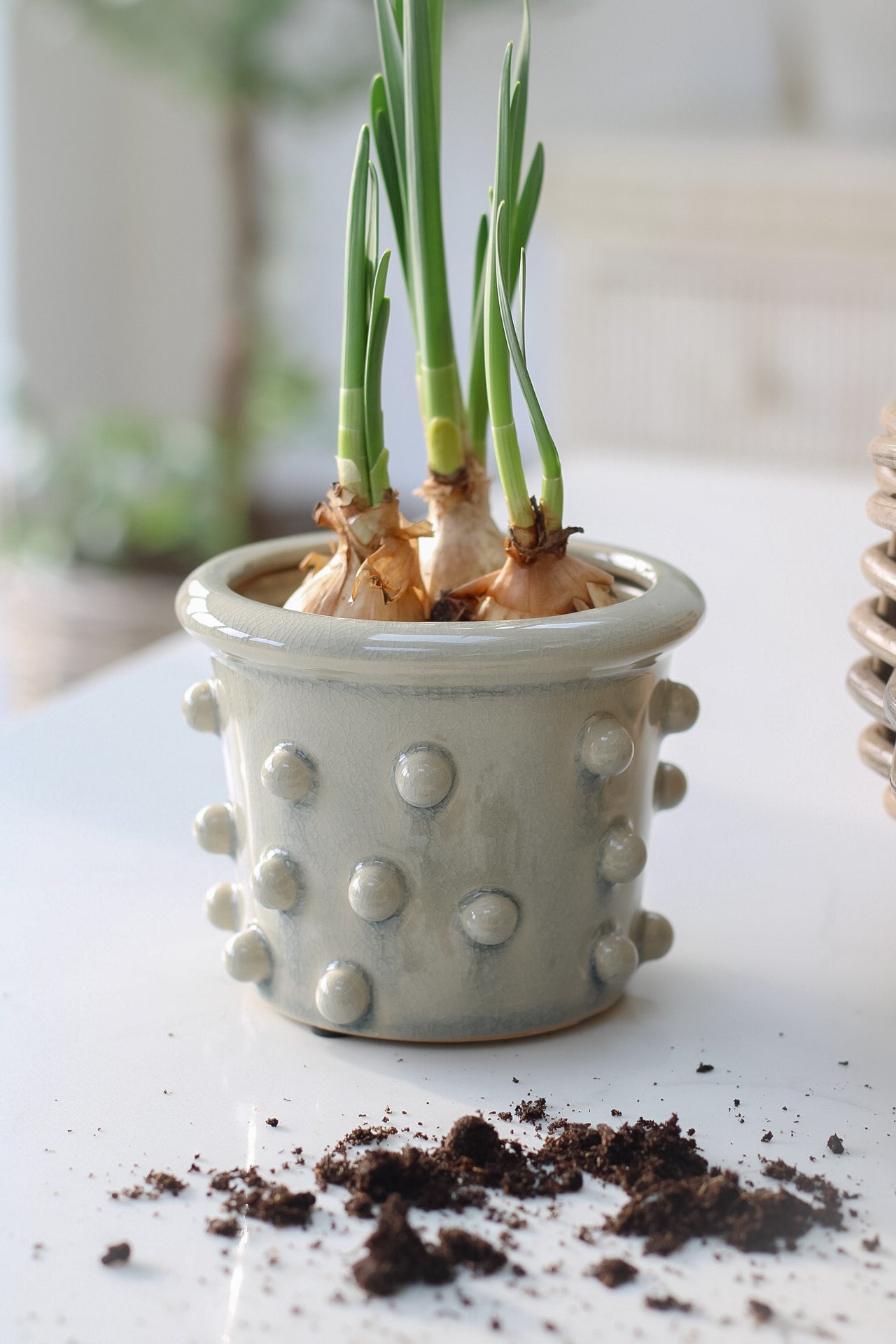 Pale Grey Bobble Planter
