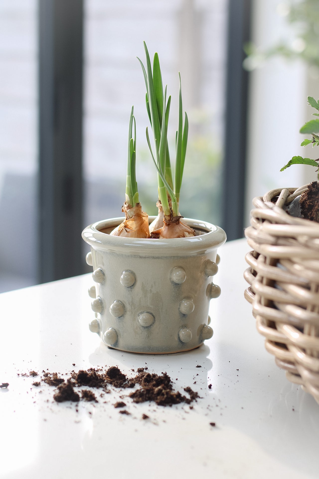 Pale Grey Bobble Planter