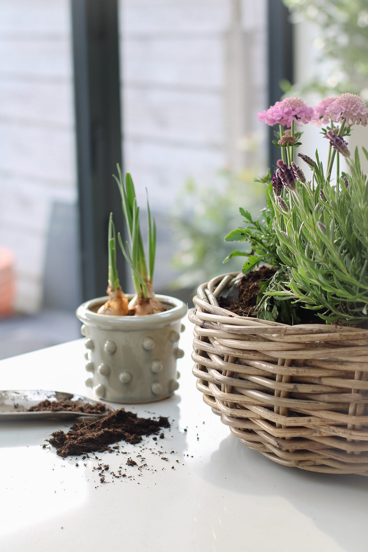 Pale Grey Bobble Planter