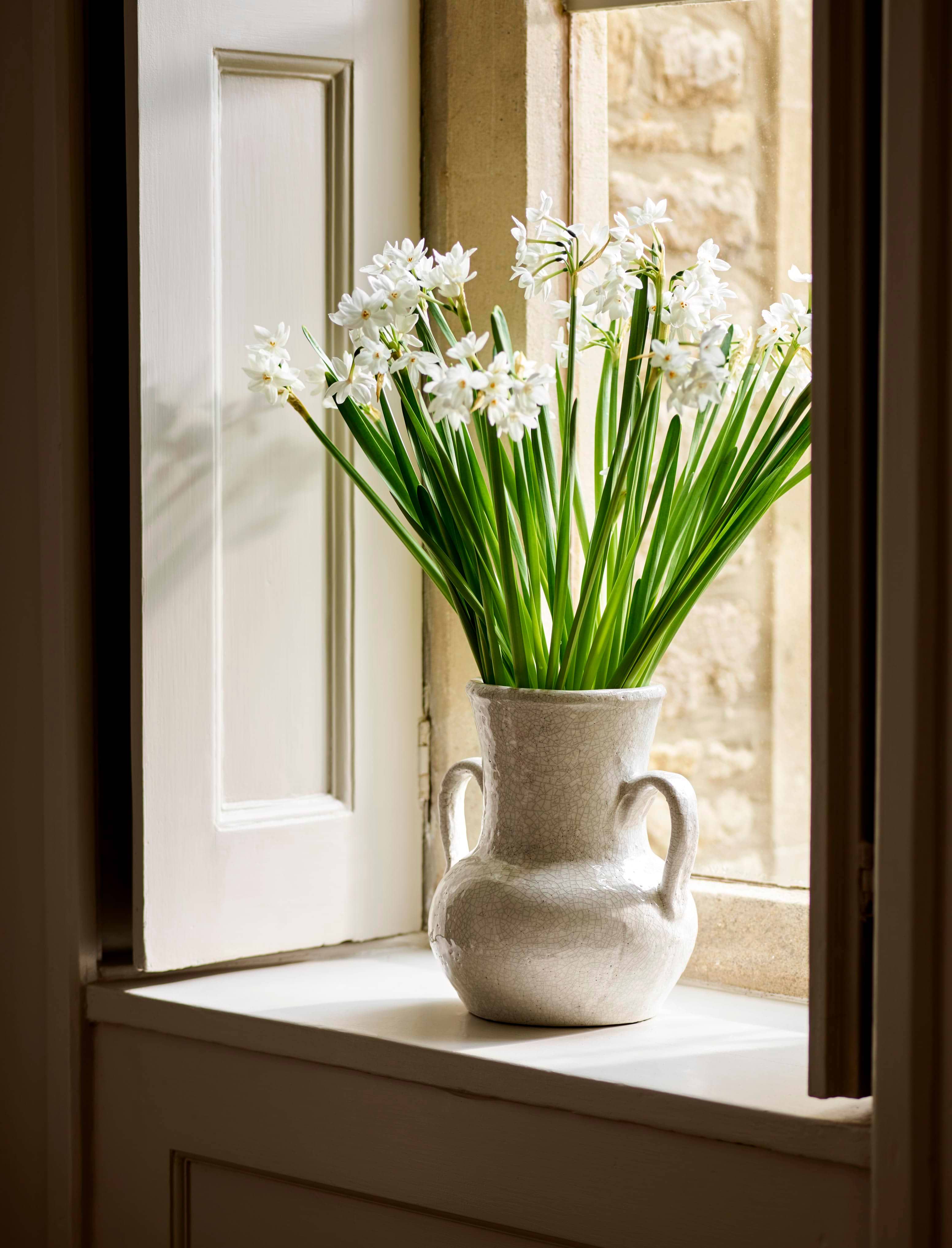 Plumley Rustic Vase with Handles