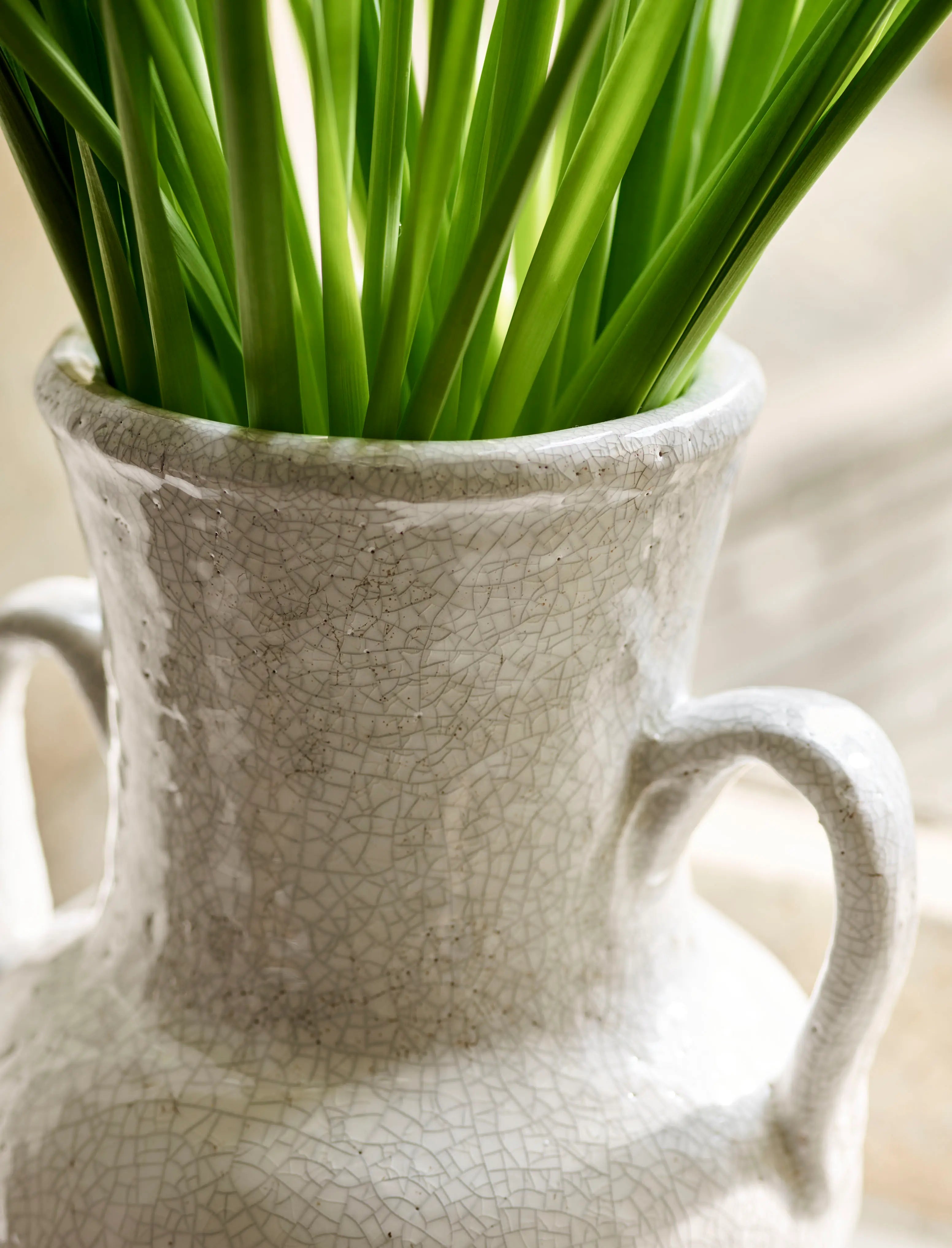 Plumley Rustic Vase with Handles