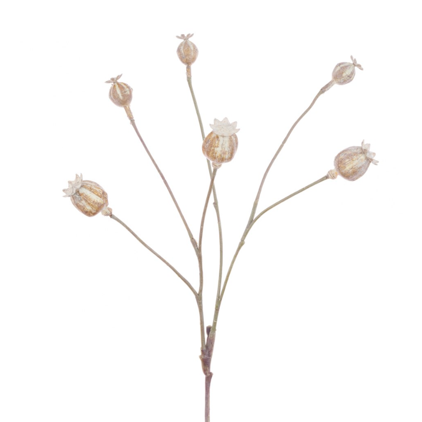 Poppy Head Spray