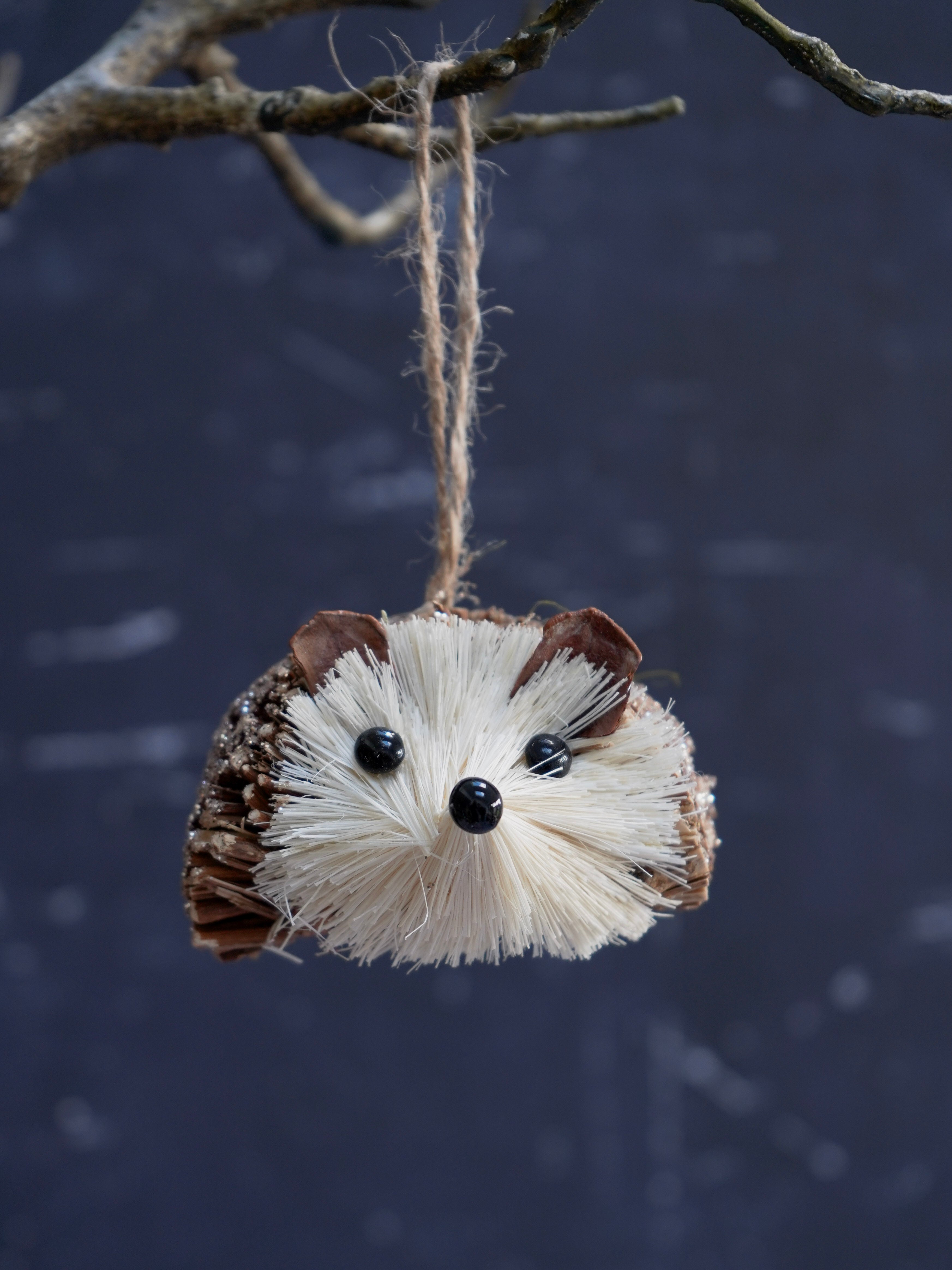 Hedgehog-shaped ornament hanging from a branch against a dark background