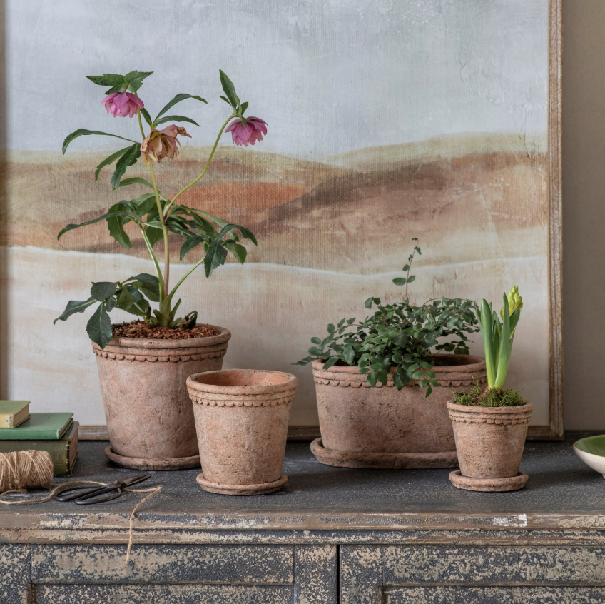 Scalloped Cement Planter