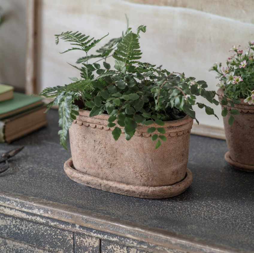 Scalloped Cement oval Planter