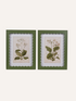 Two framed country botanical prints with green frames on a white background