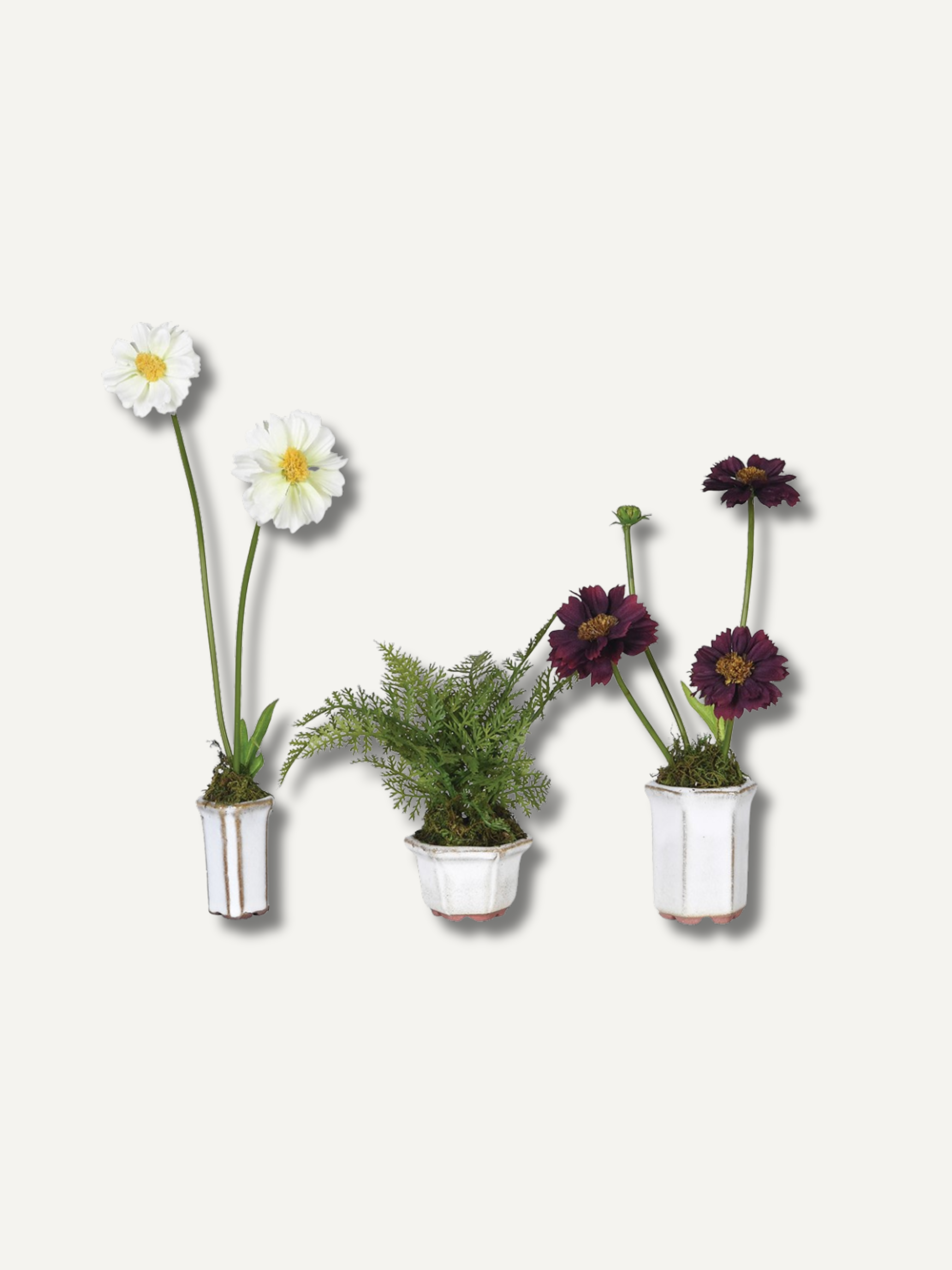 Set of Three Faux Cosmos and Fern Potted Plants