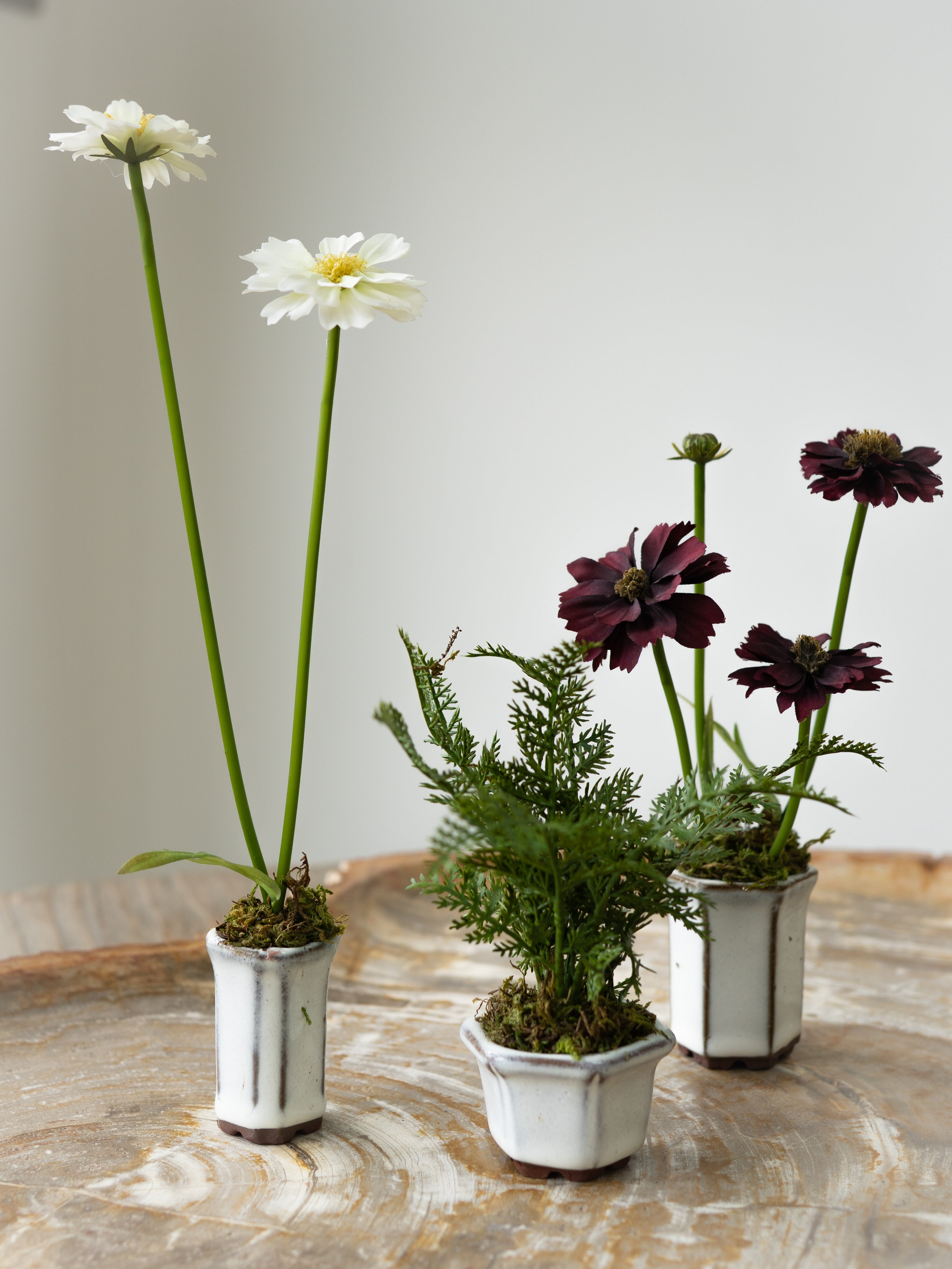 Set of Three Faux Cosmos and Fern Potted Plants