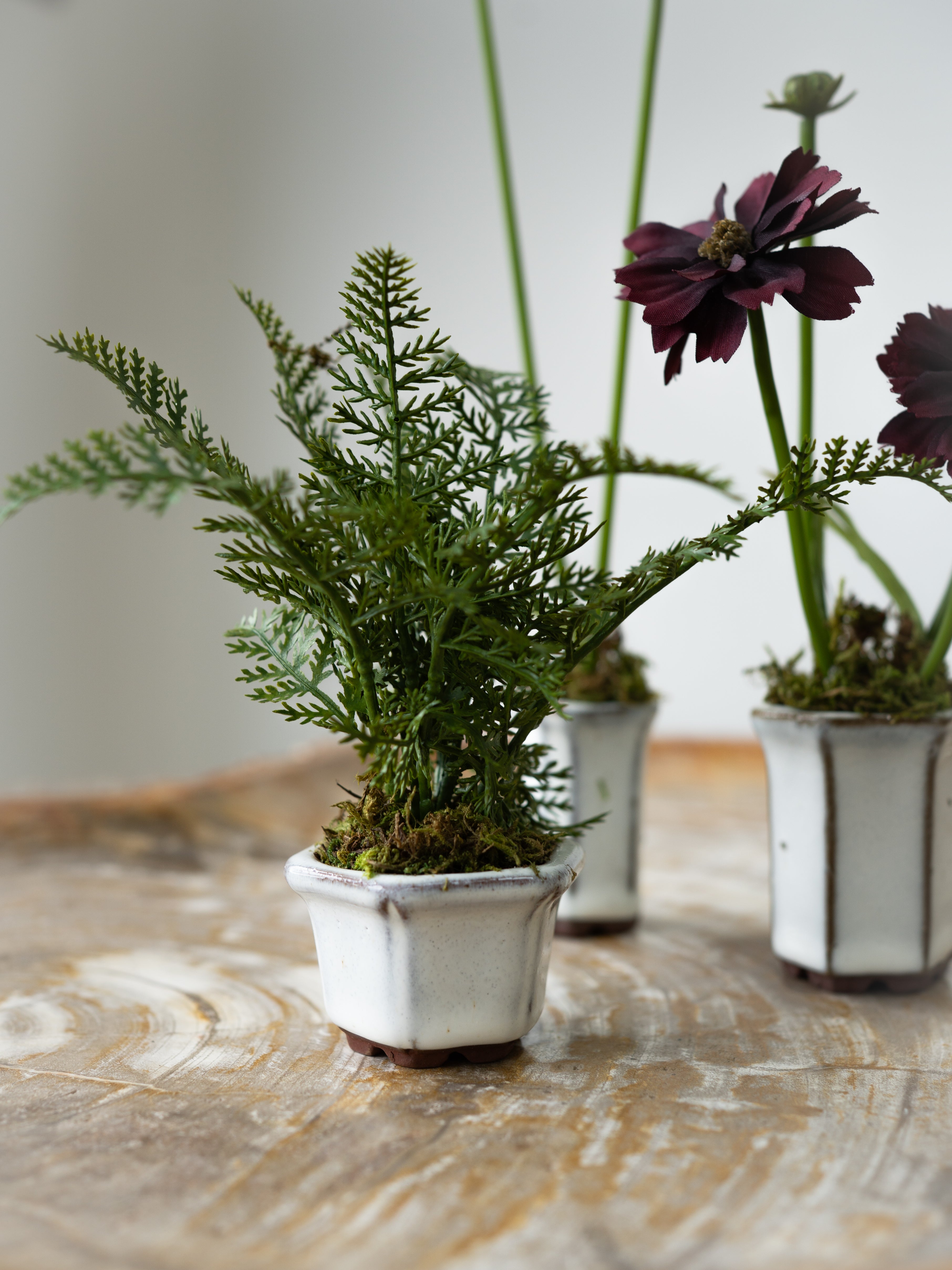 Set of Three Faux Cosmos and Fern Potted Plants