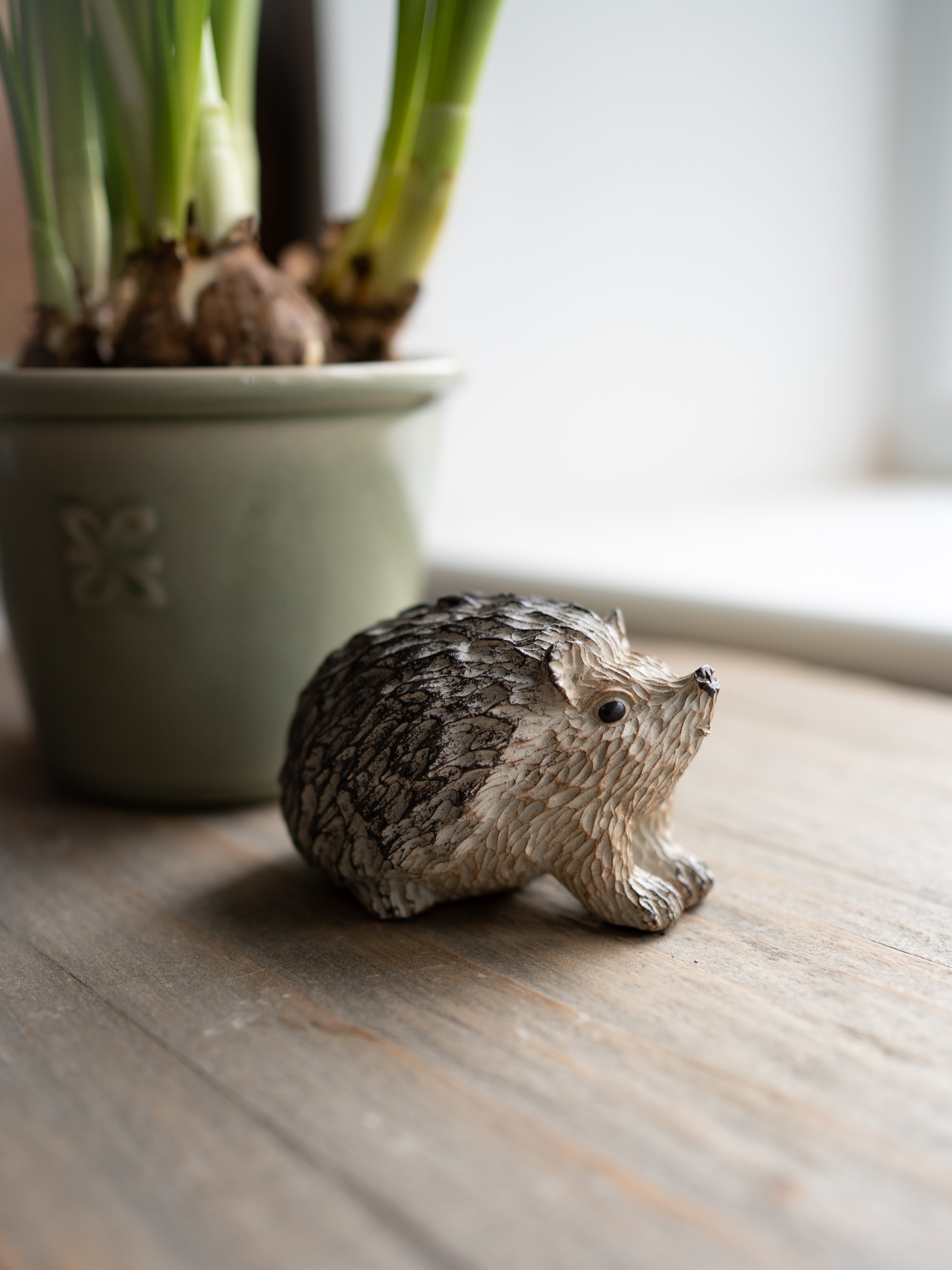 Small hedgehog figurine on a wooden surface with a potted plant in the background