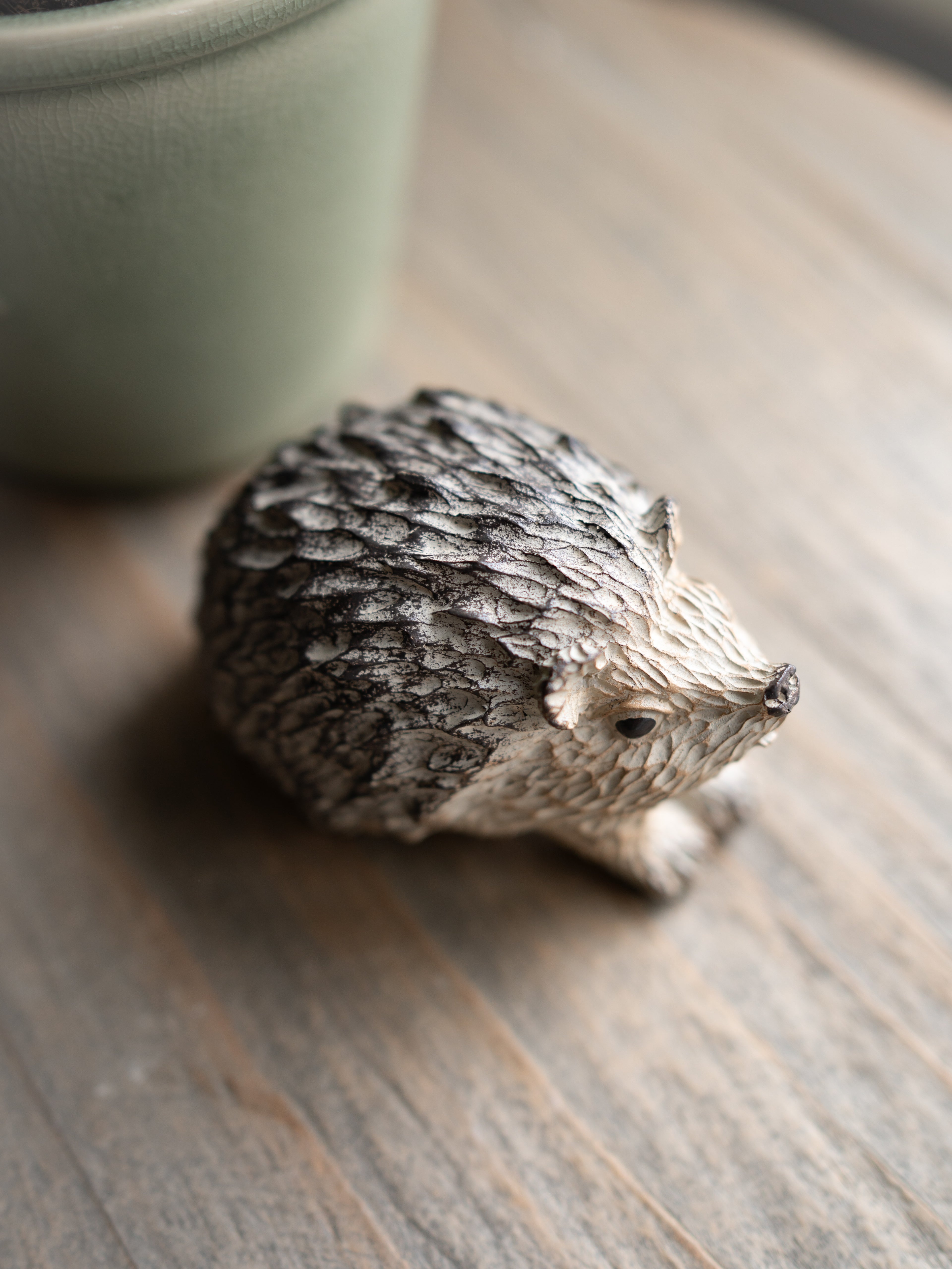 Small hedgehog on a wooden surface with a blurred background
