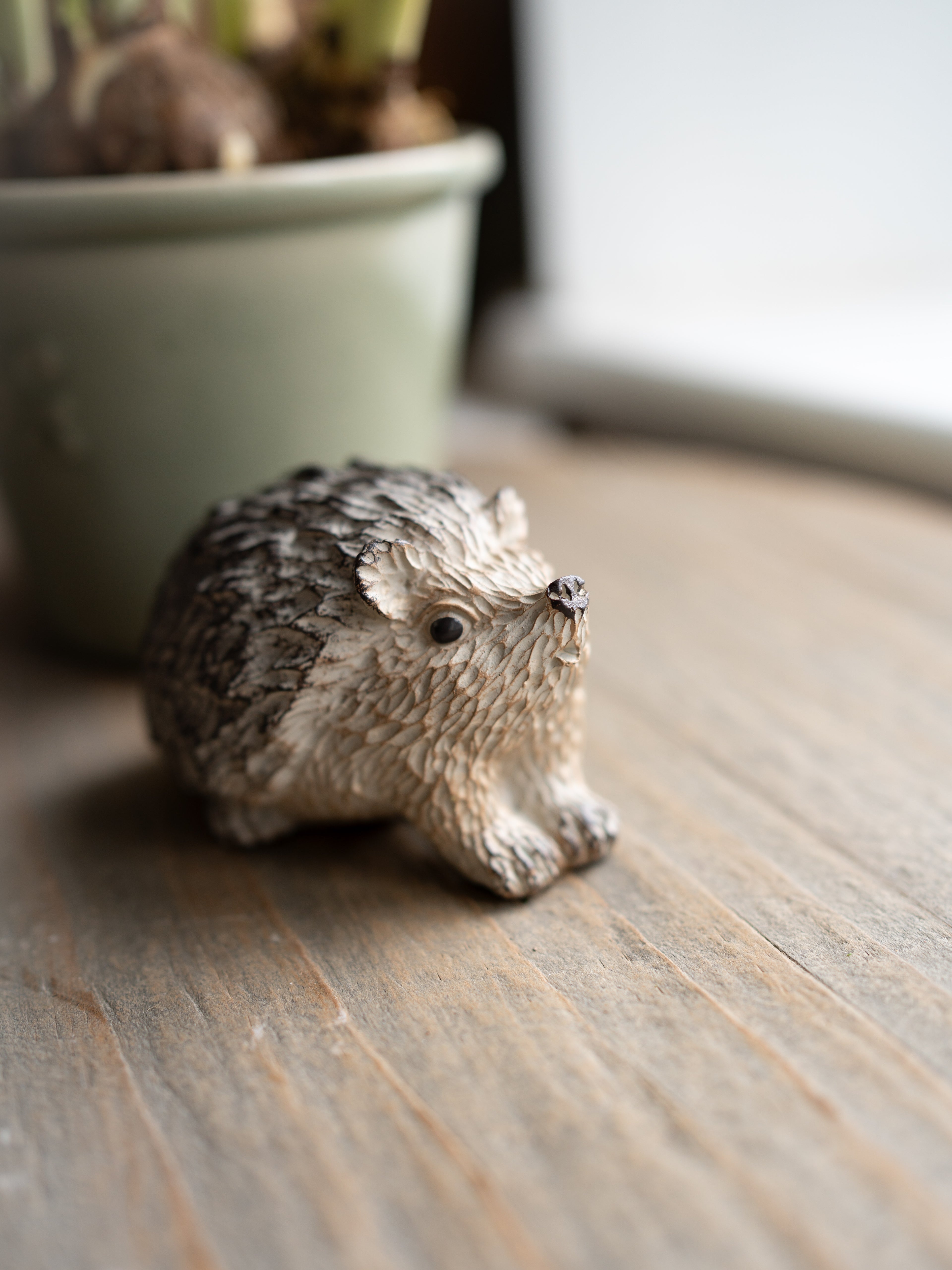 Small hedgehog figurine on a wooden surface with a blurred plant in the background