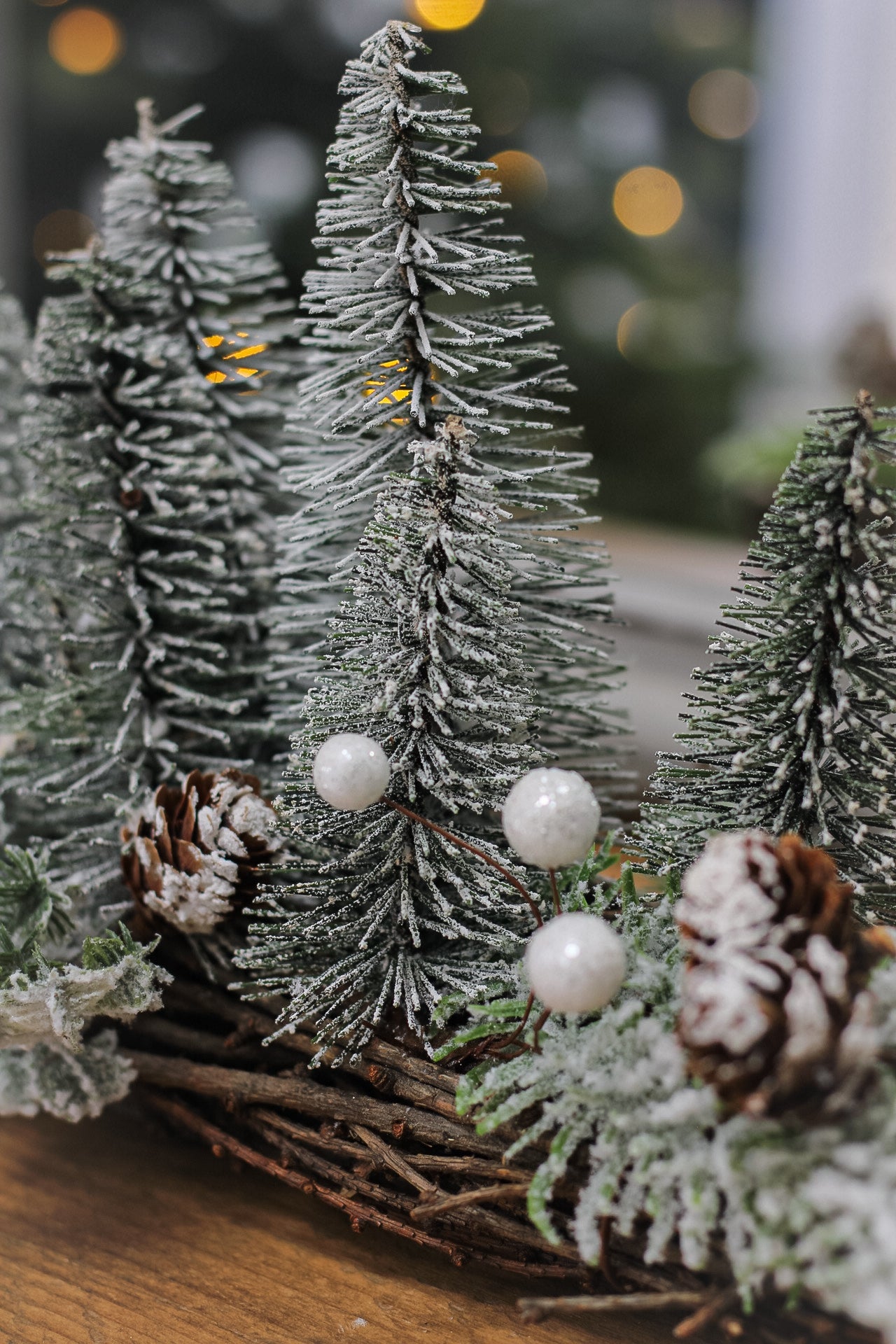 up close of bottle brush christmas trees