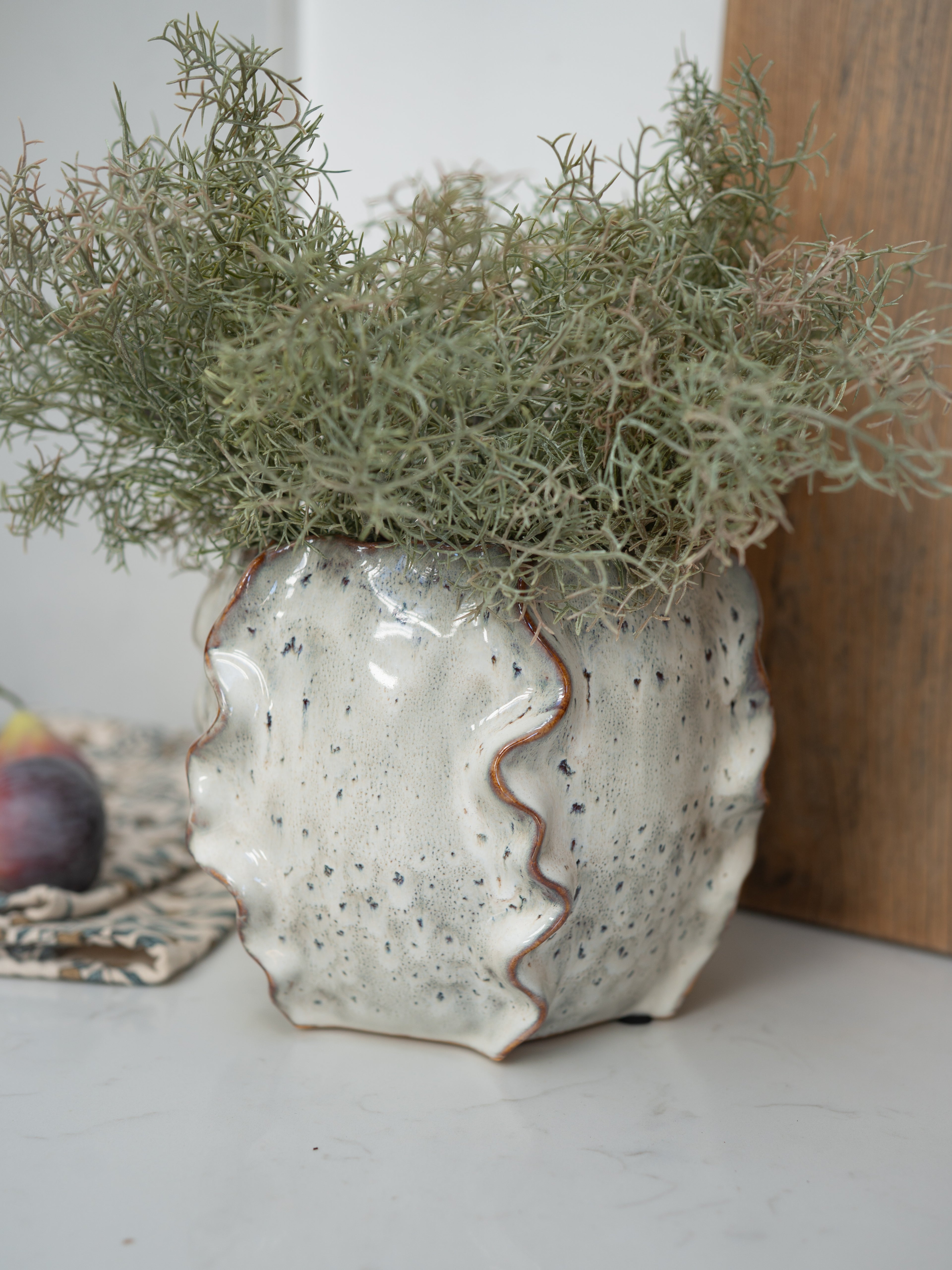 Ceramic planter with textured surface holding a plant on a neutral background