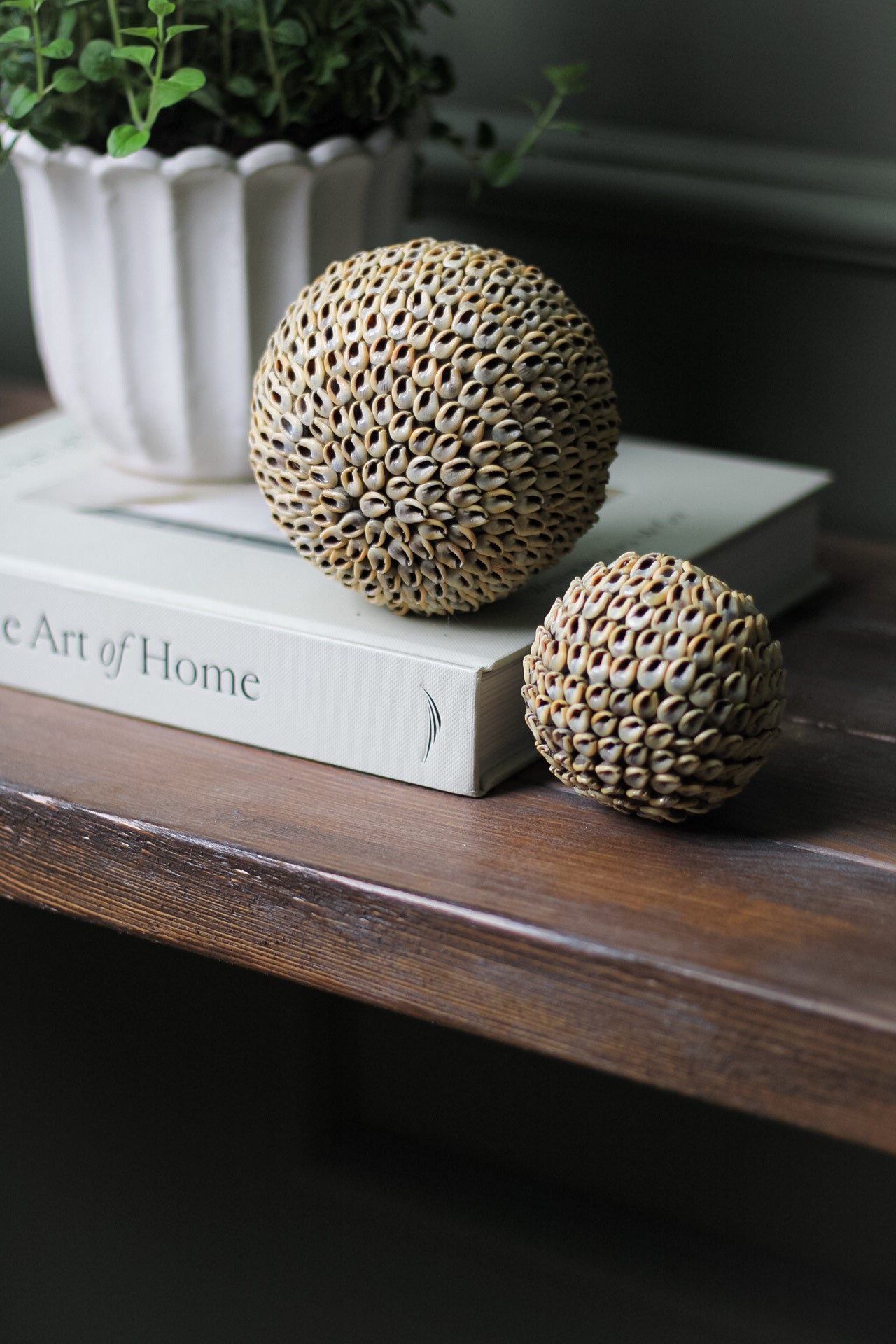 Soft Brown Shell Ball Decorative Sculpture