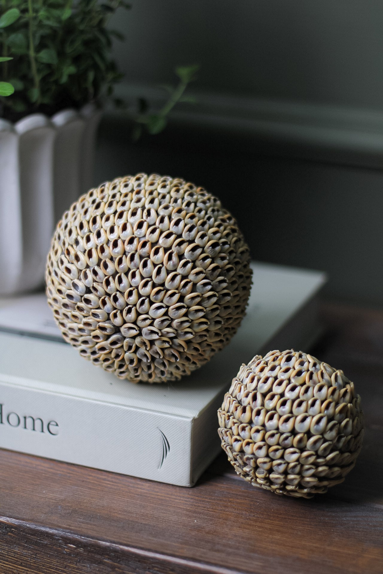 Soft Brown Shell Ball Decorative Sculpture